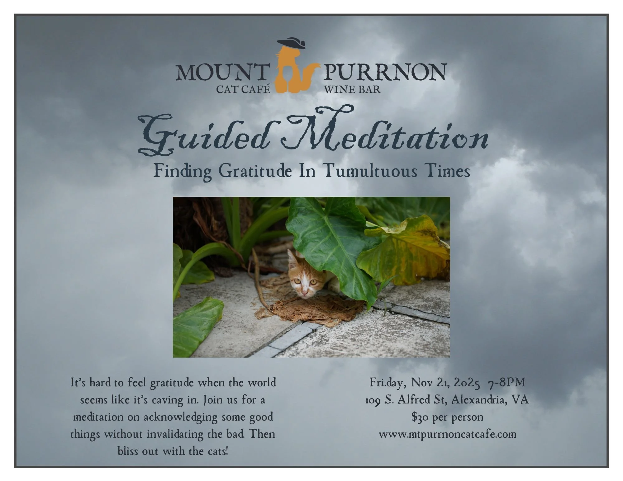 Guided Meditation with Cats