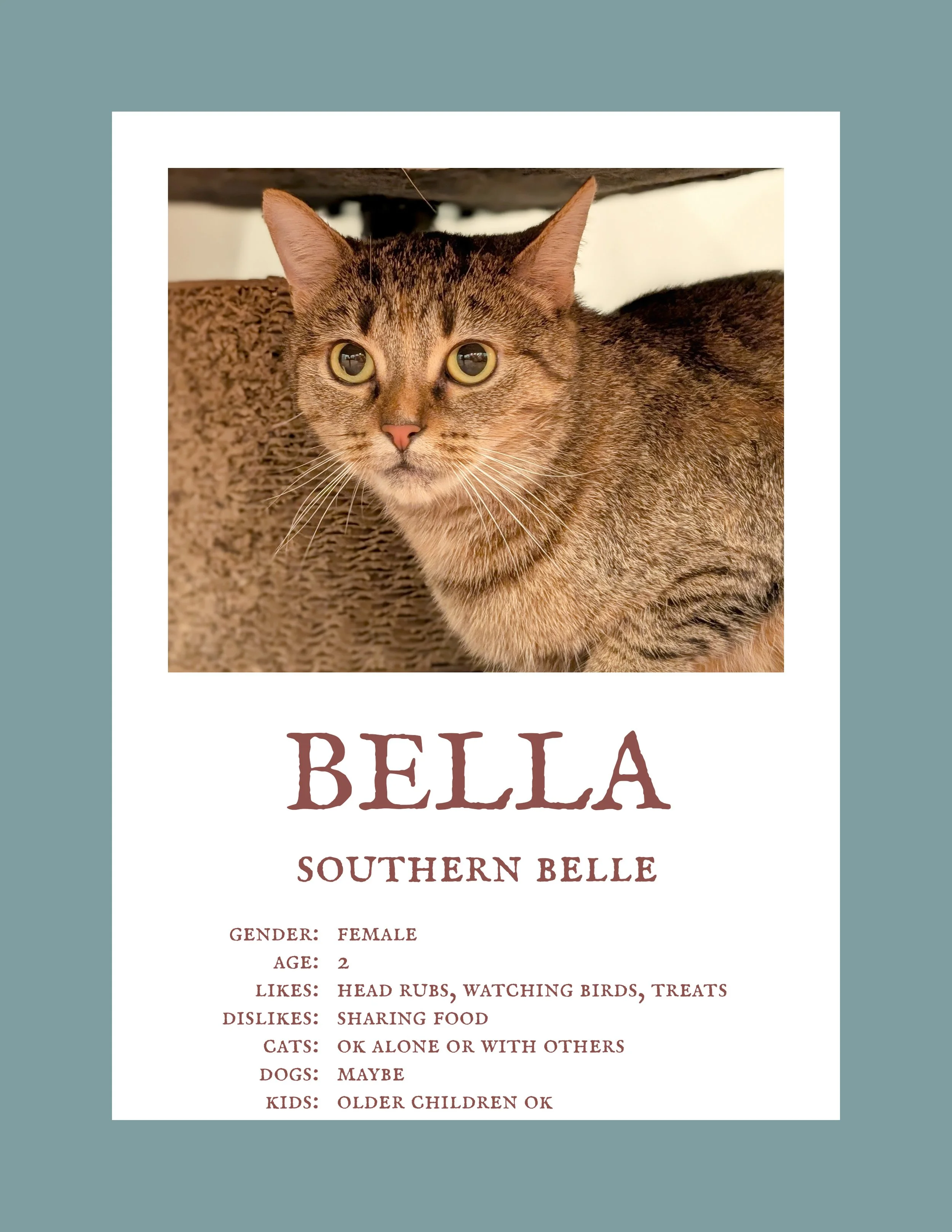 Bella 7.jpg