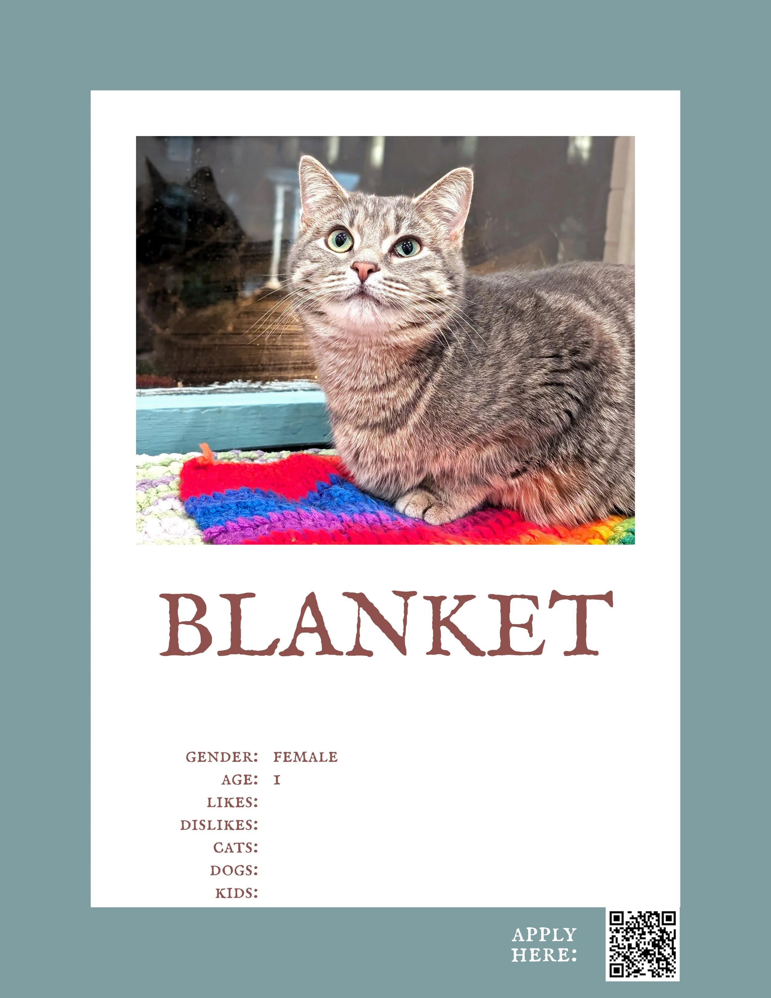 Blanket.jpg