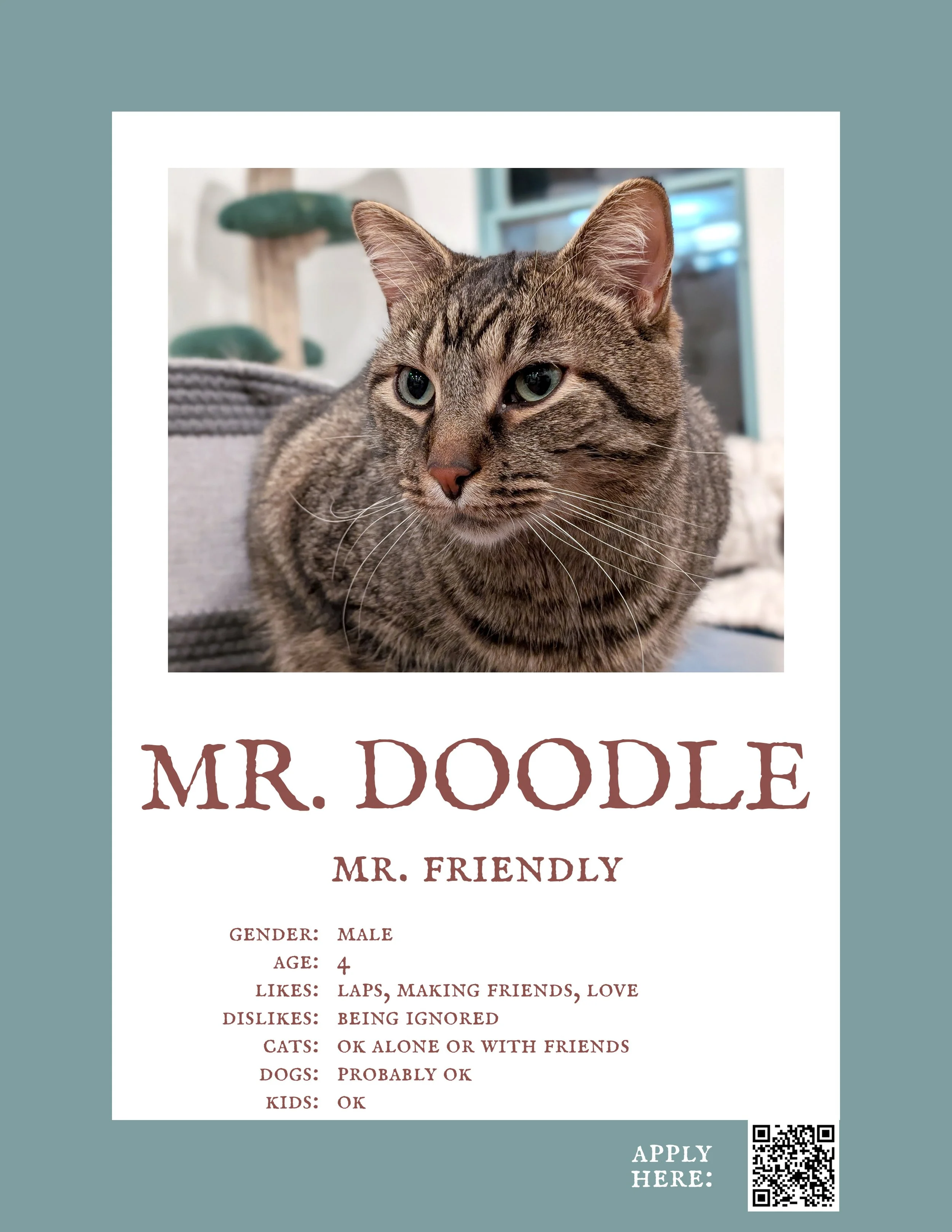 Mr. Doodle.jpg