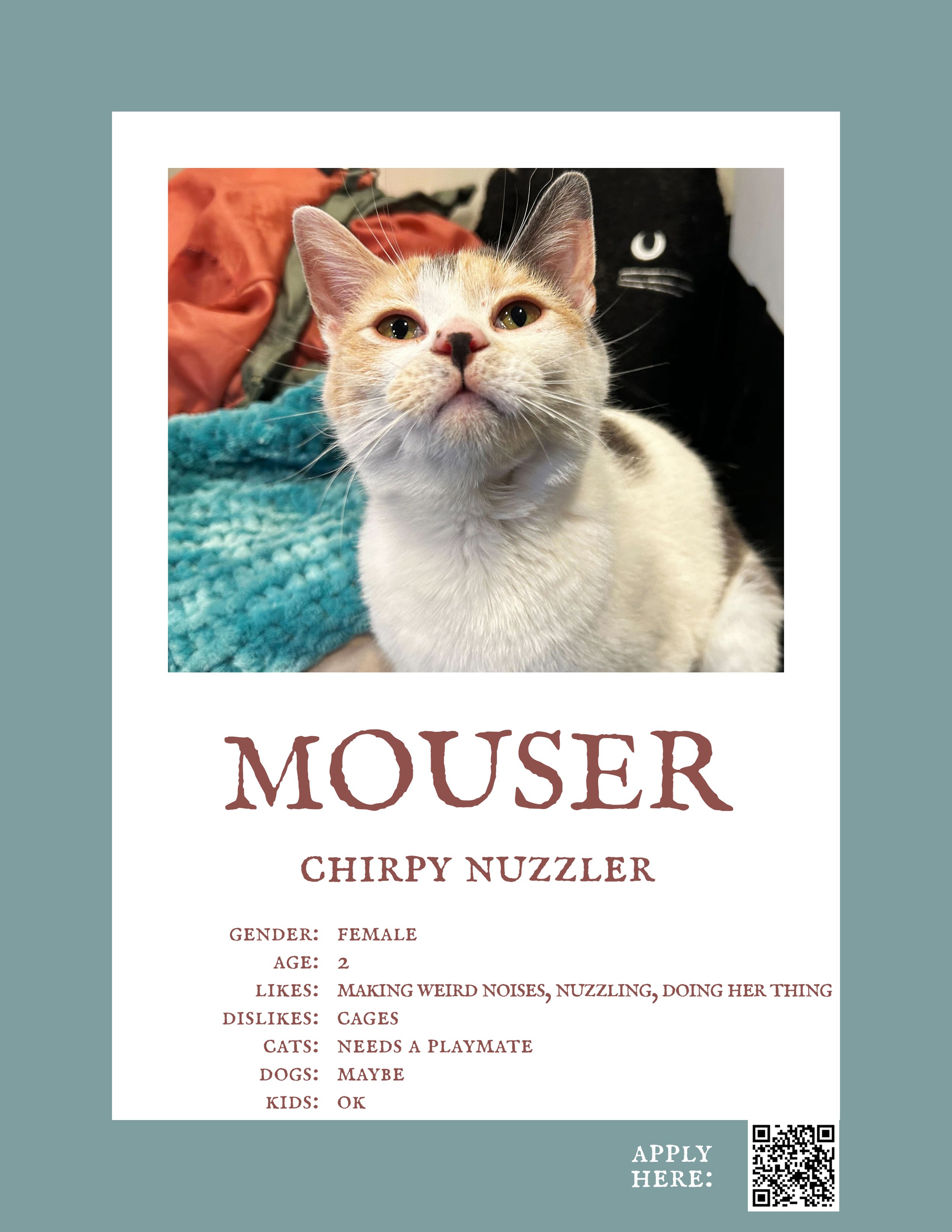 Mouser.jpg