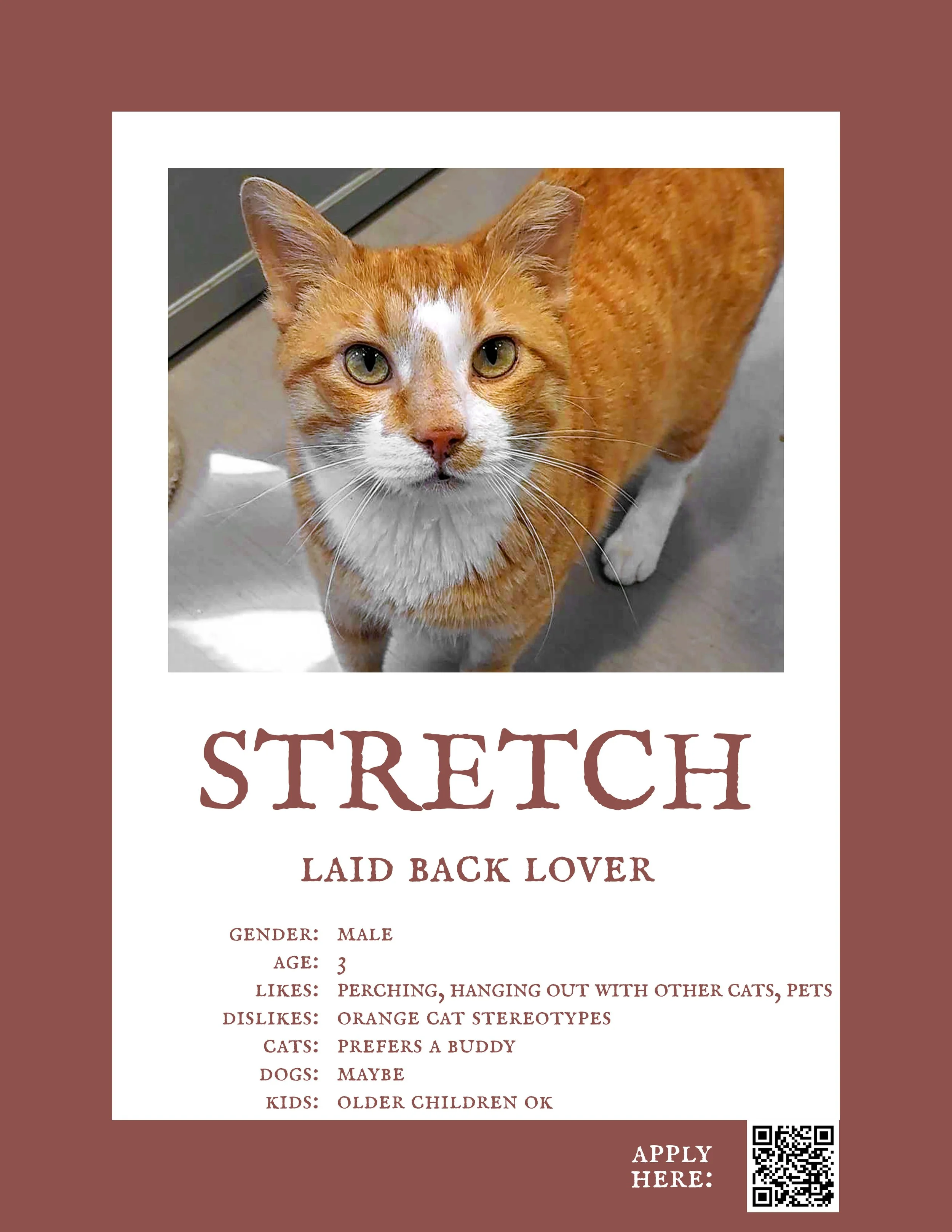 Stretch.jpg