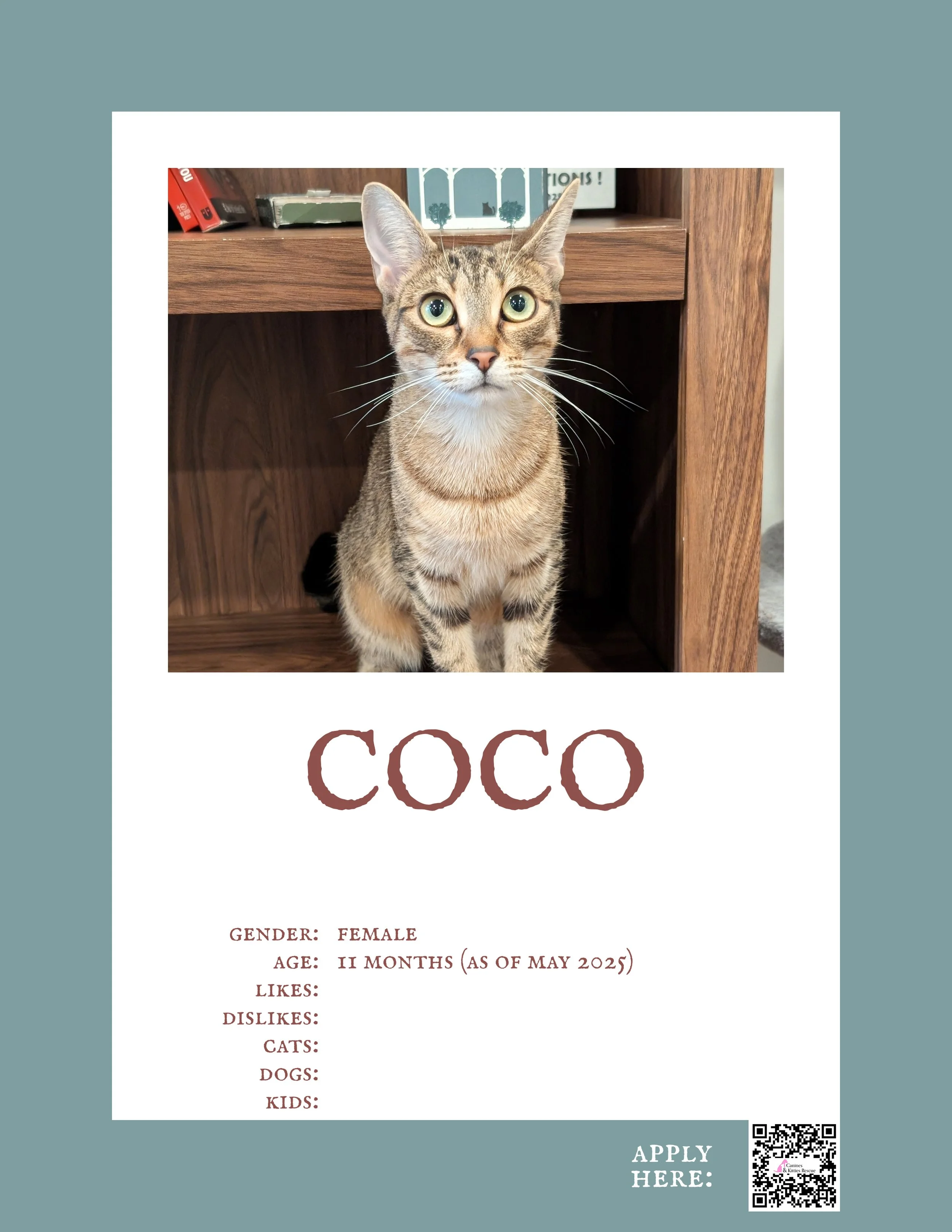 Coco.jpg
