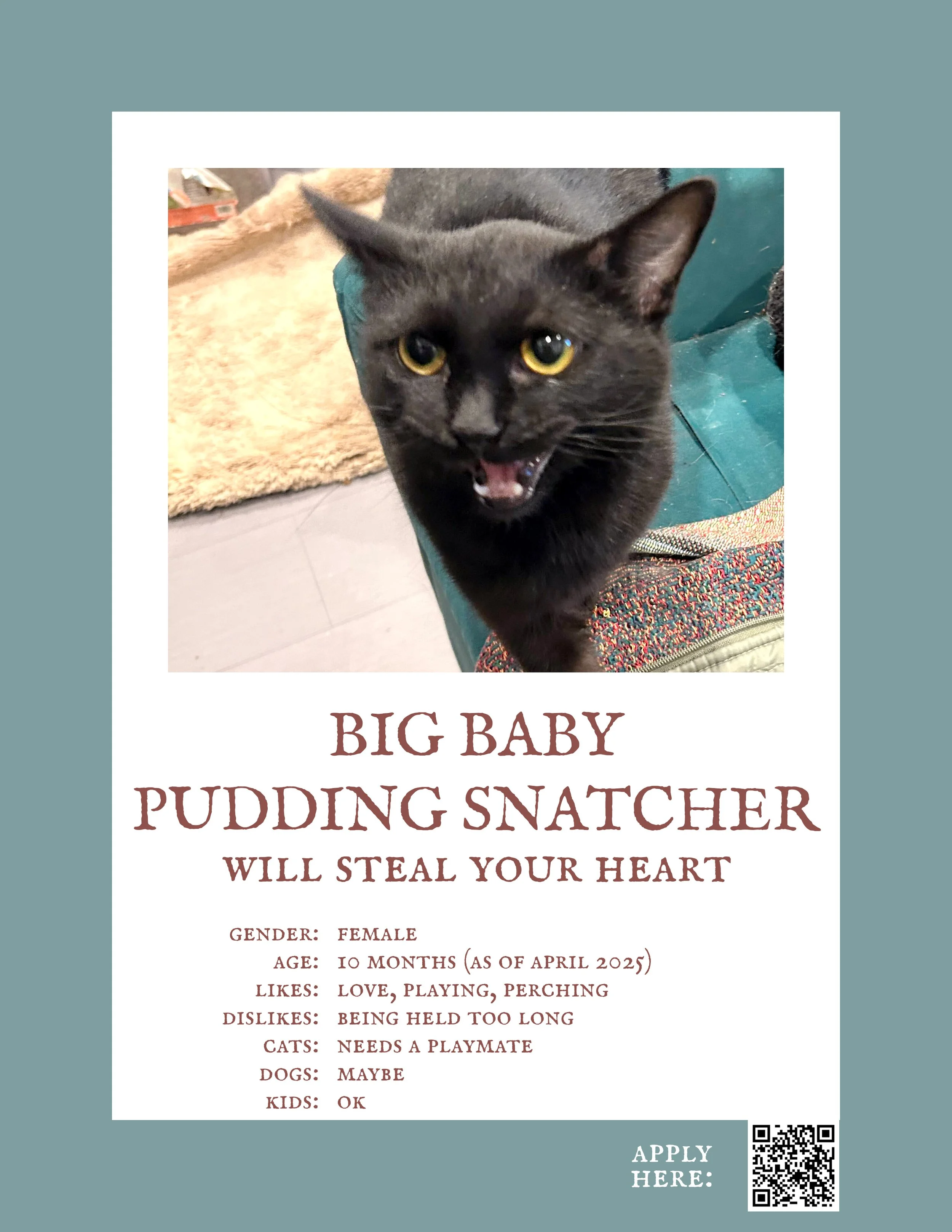 Big Baby Pudding Snatcher.jpg