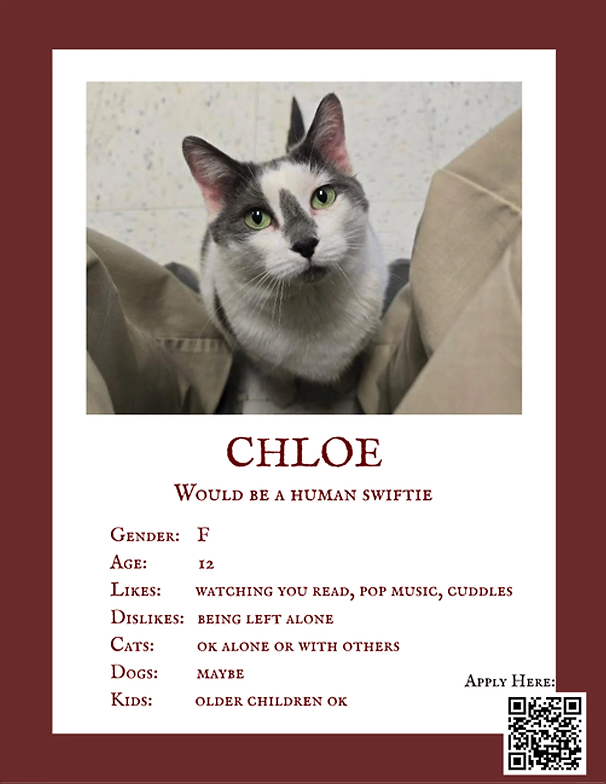 Chloe 4.jpg