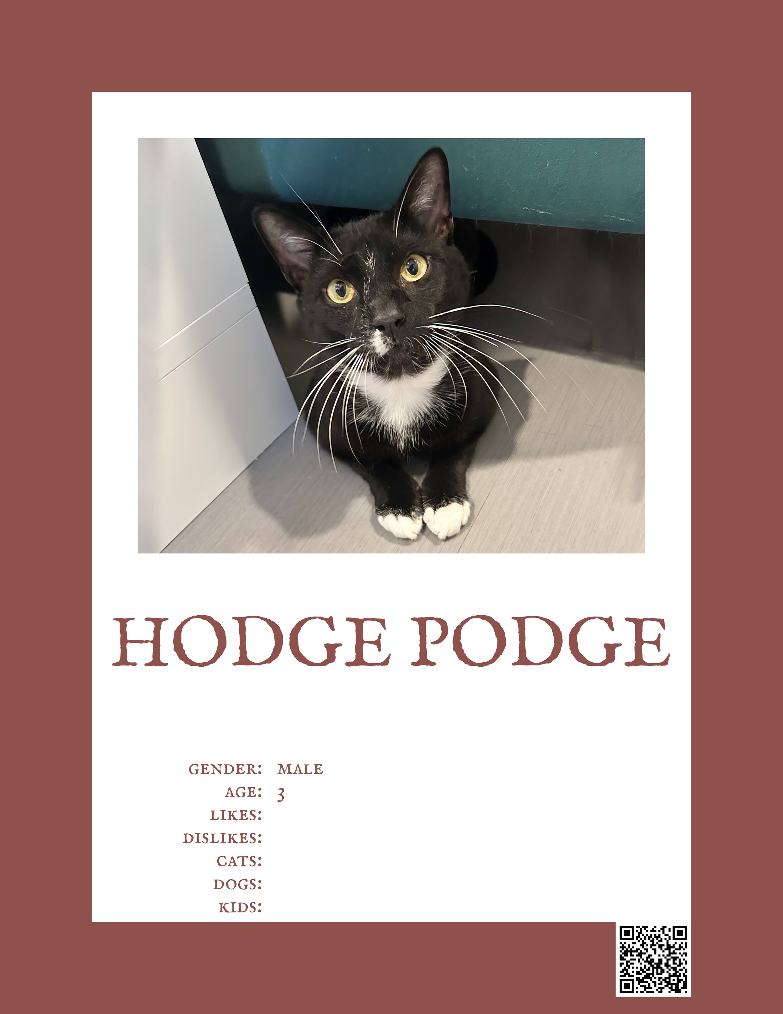 Hodge Podge.jpg