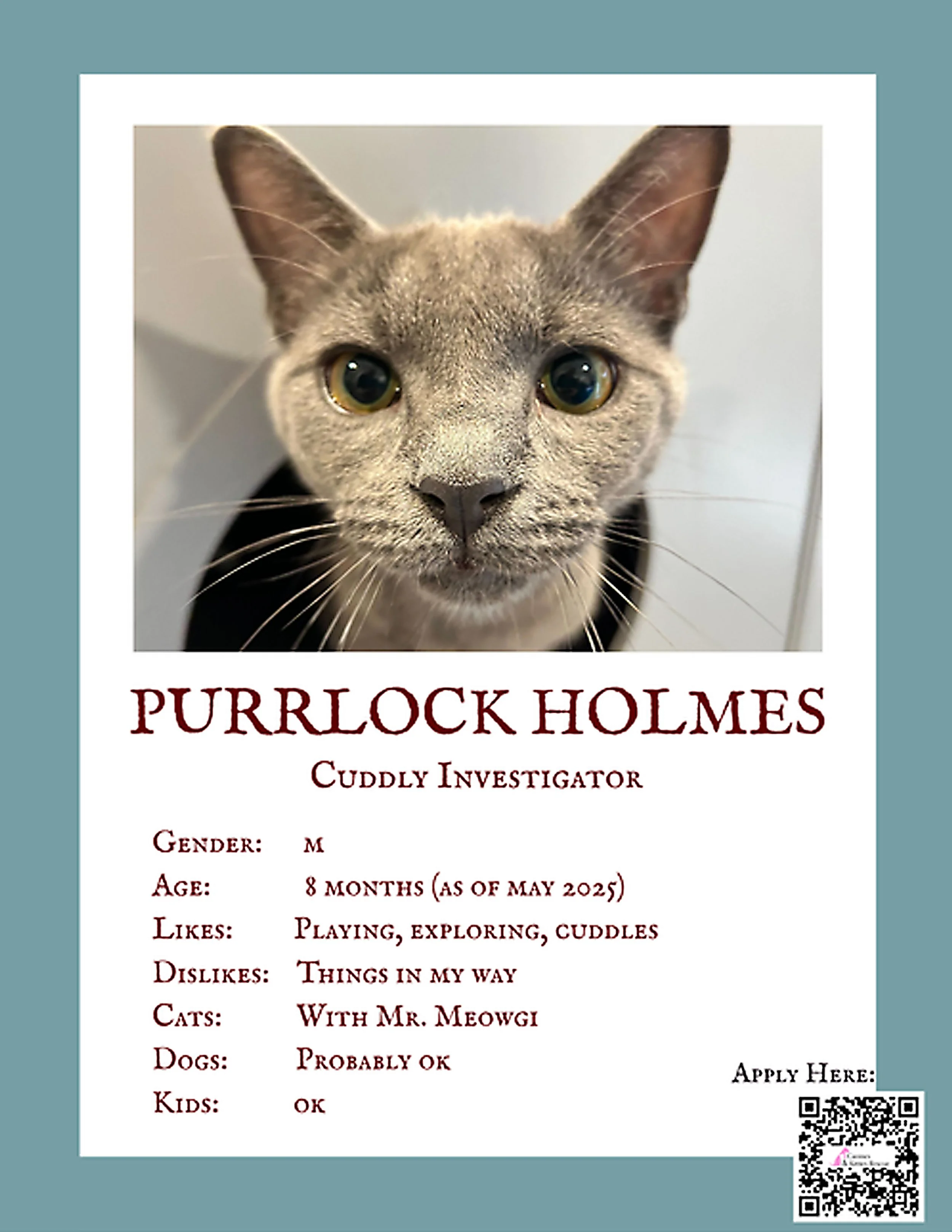 Purrlock Holmes.jpg