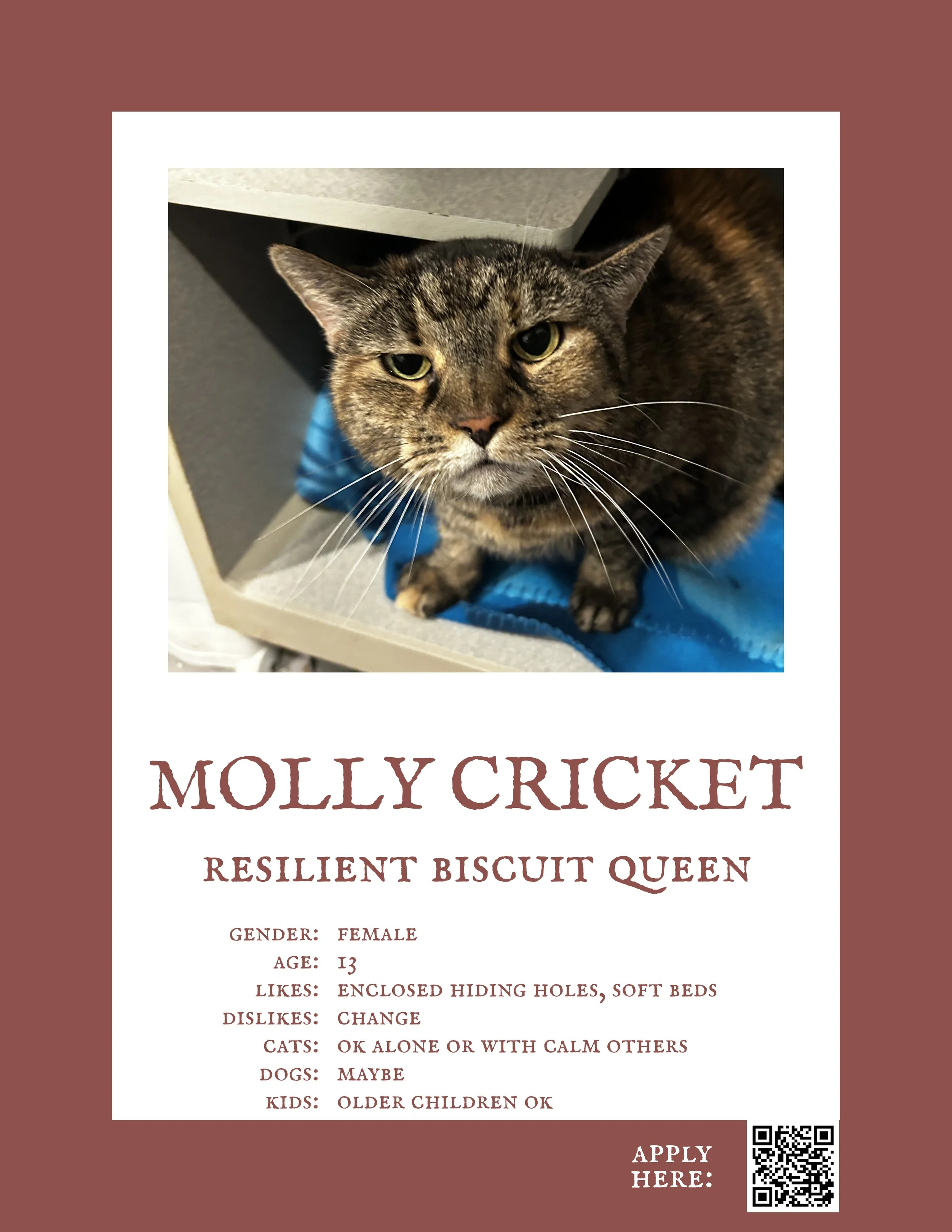 Molly Cricket.jpg