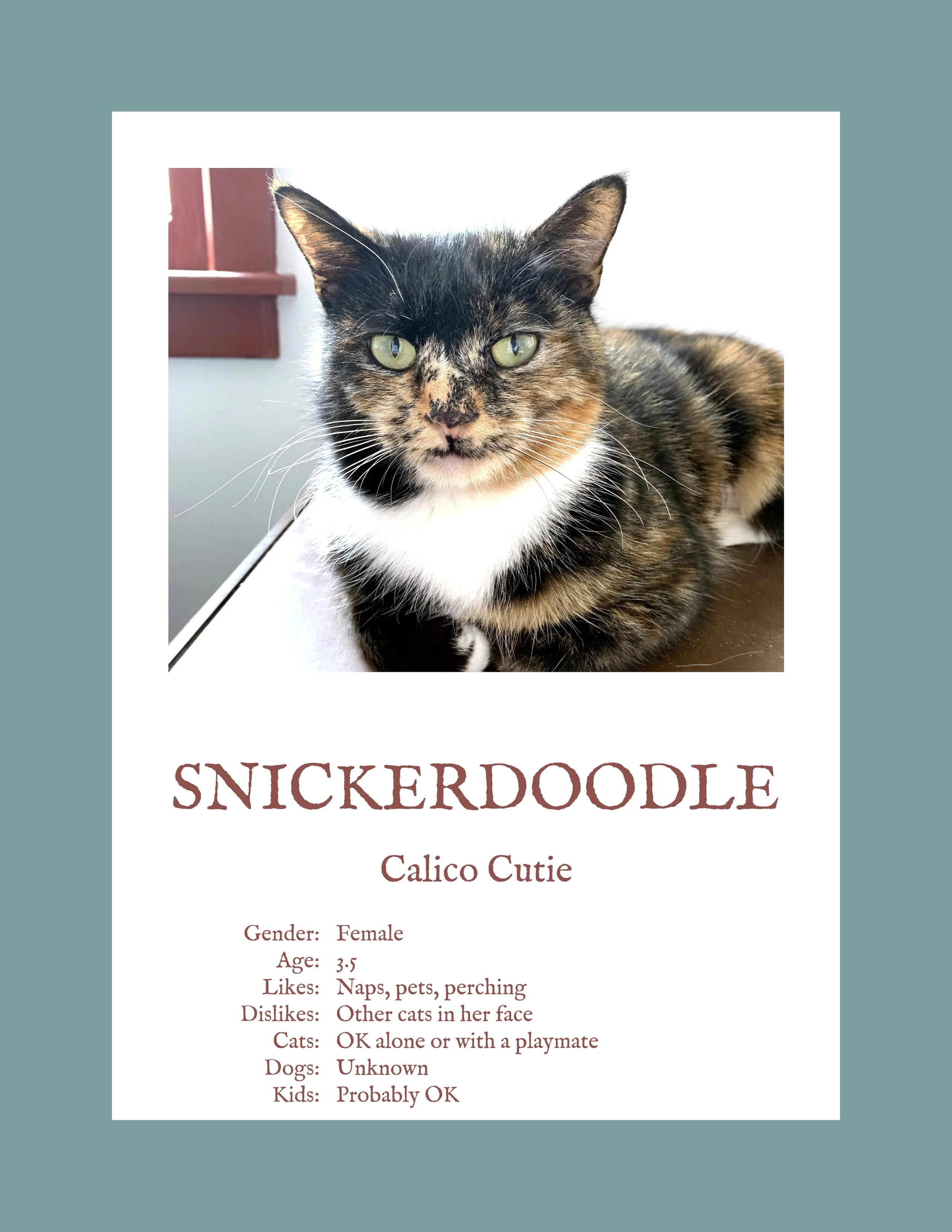 Snickerdoodle.jpg