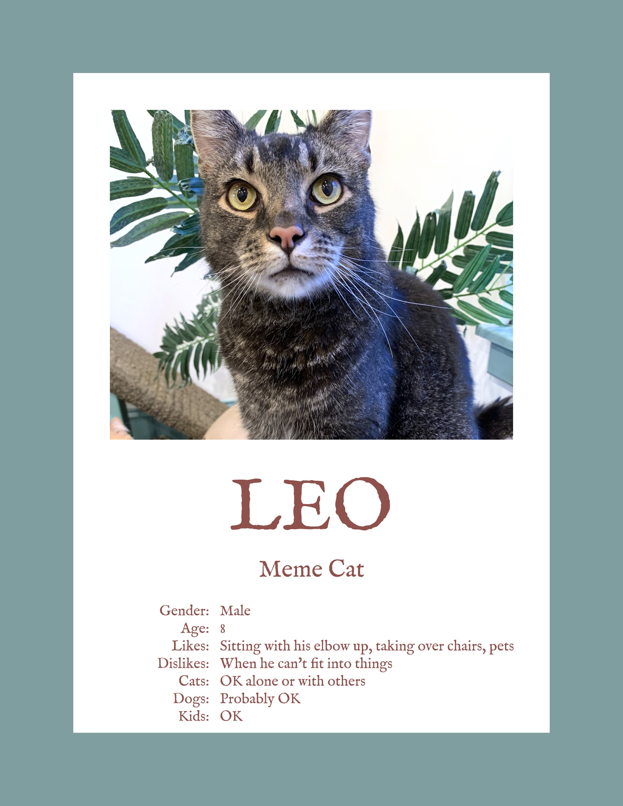 Leo.jpg