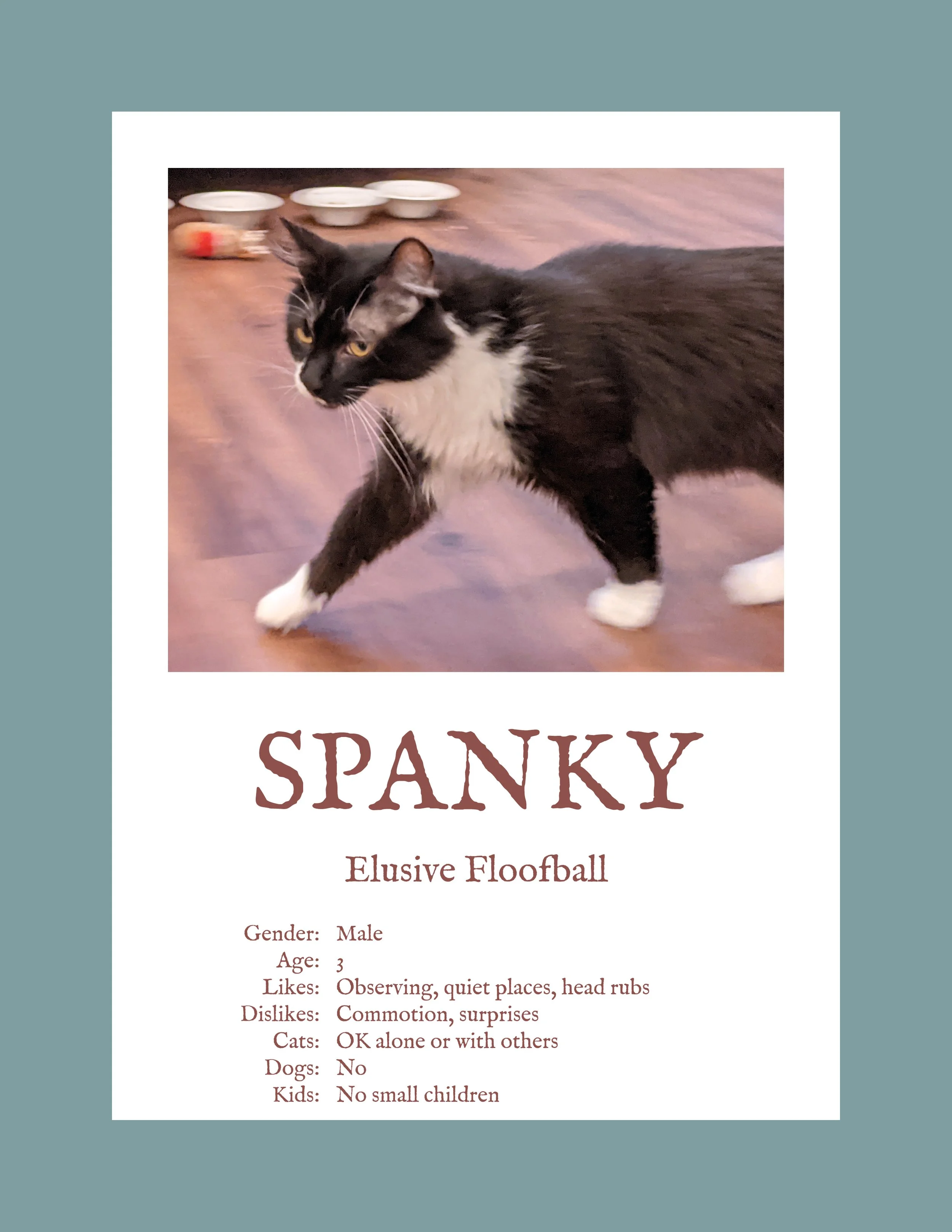 Spanky.jpg