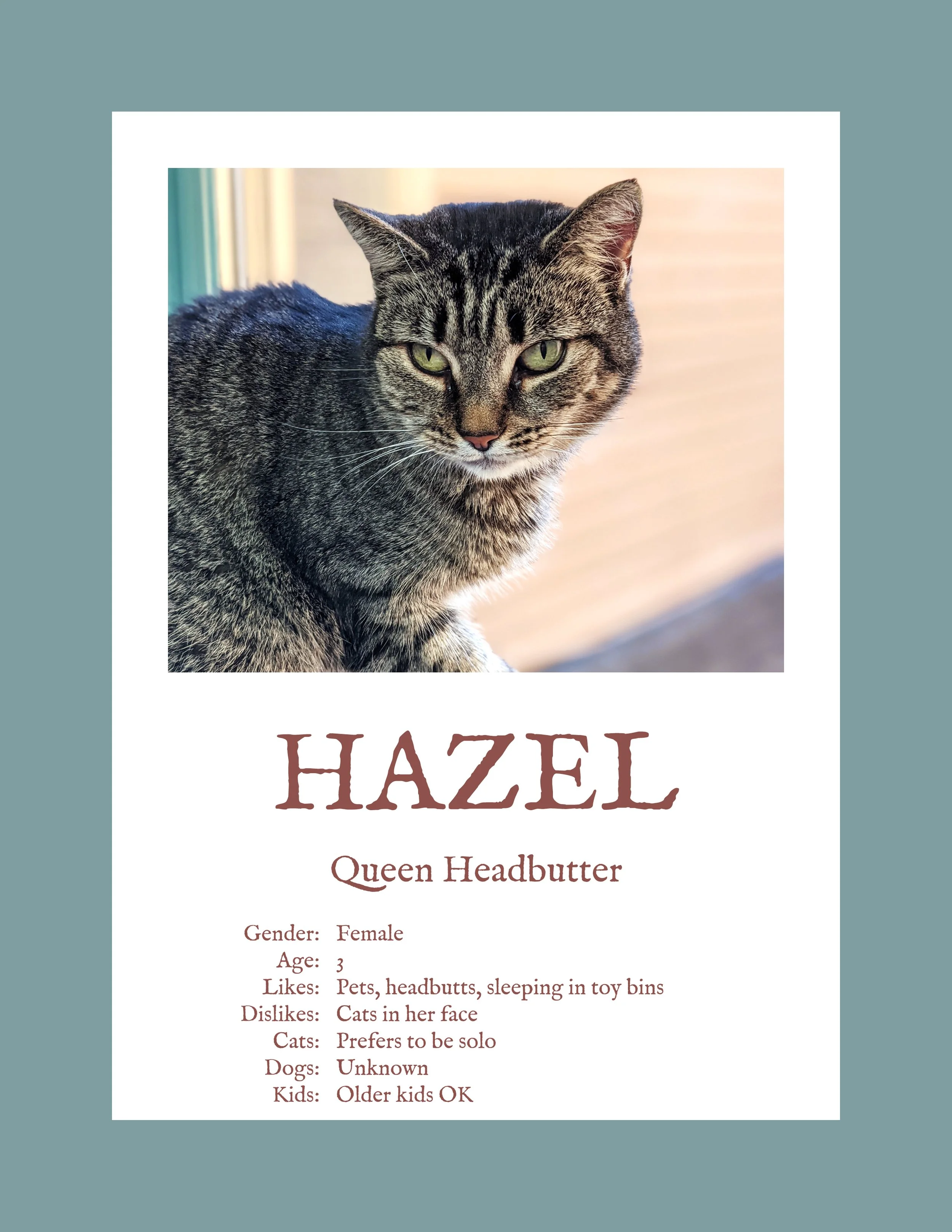Hazel.jpg