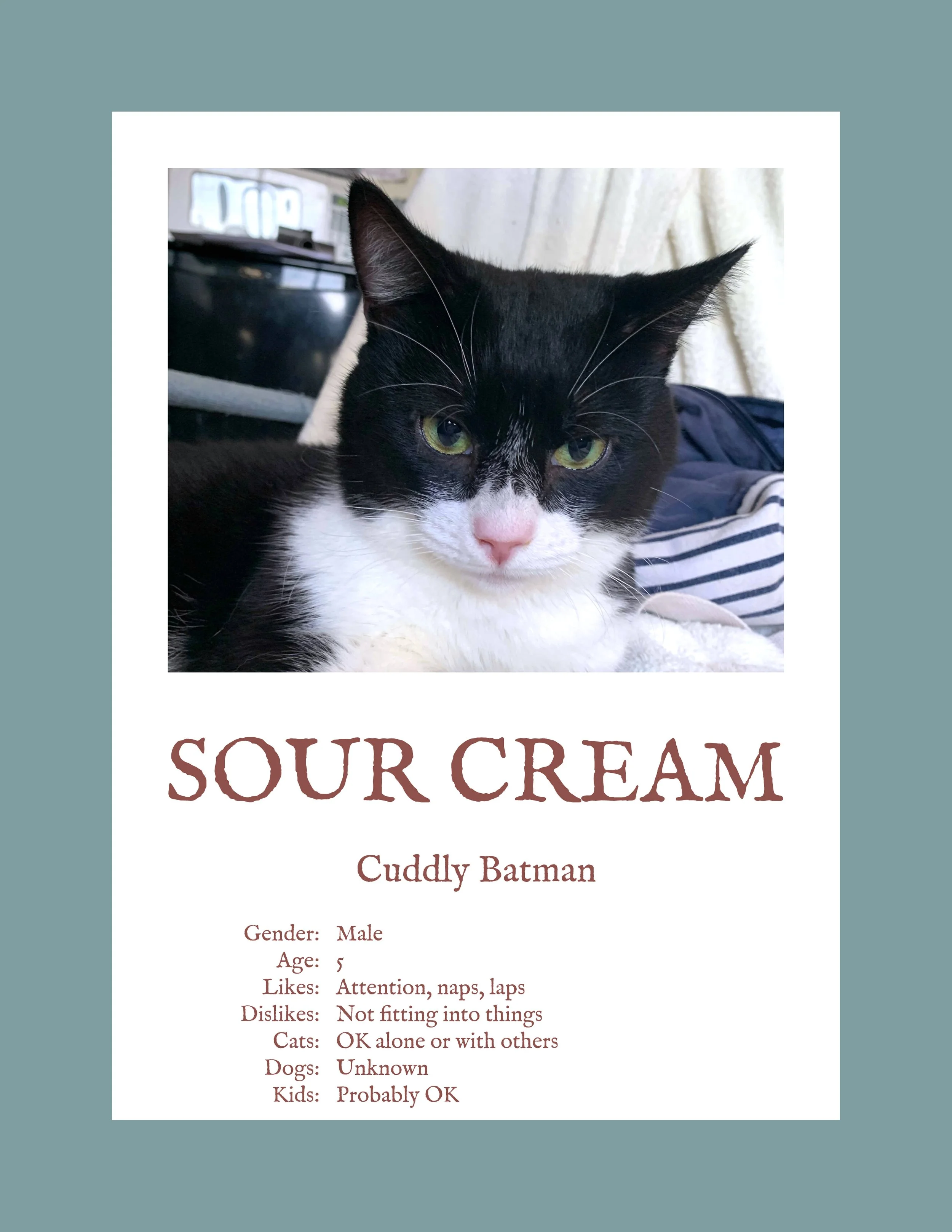 Sour Cream.jpg