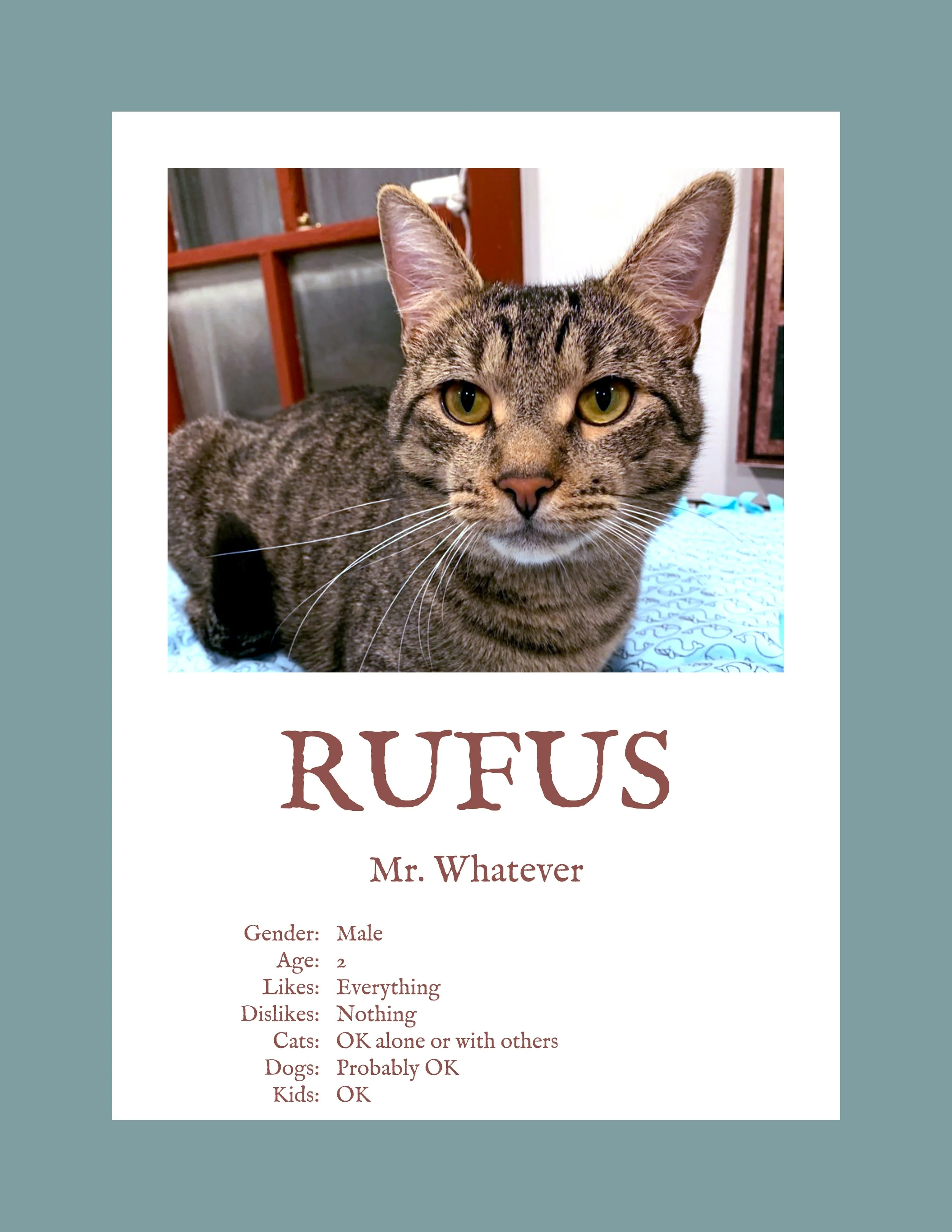 Rufus.jpg