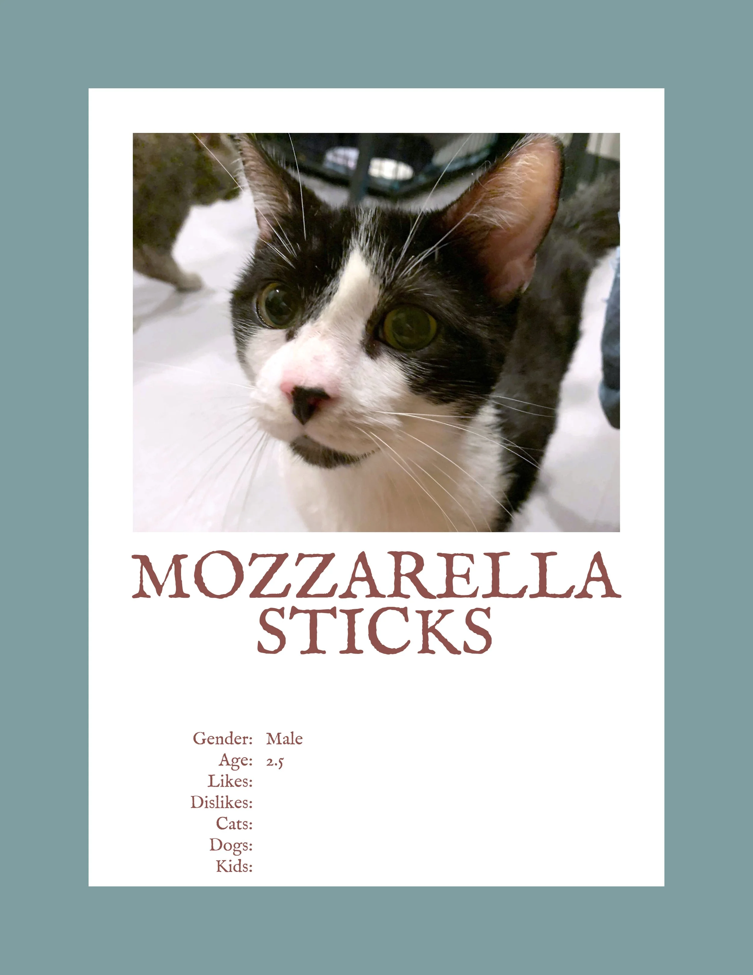 Mozzarella Sticks Temp.jpg