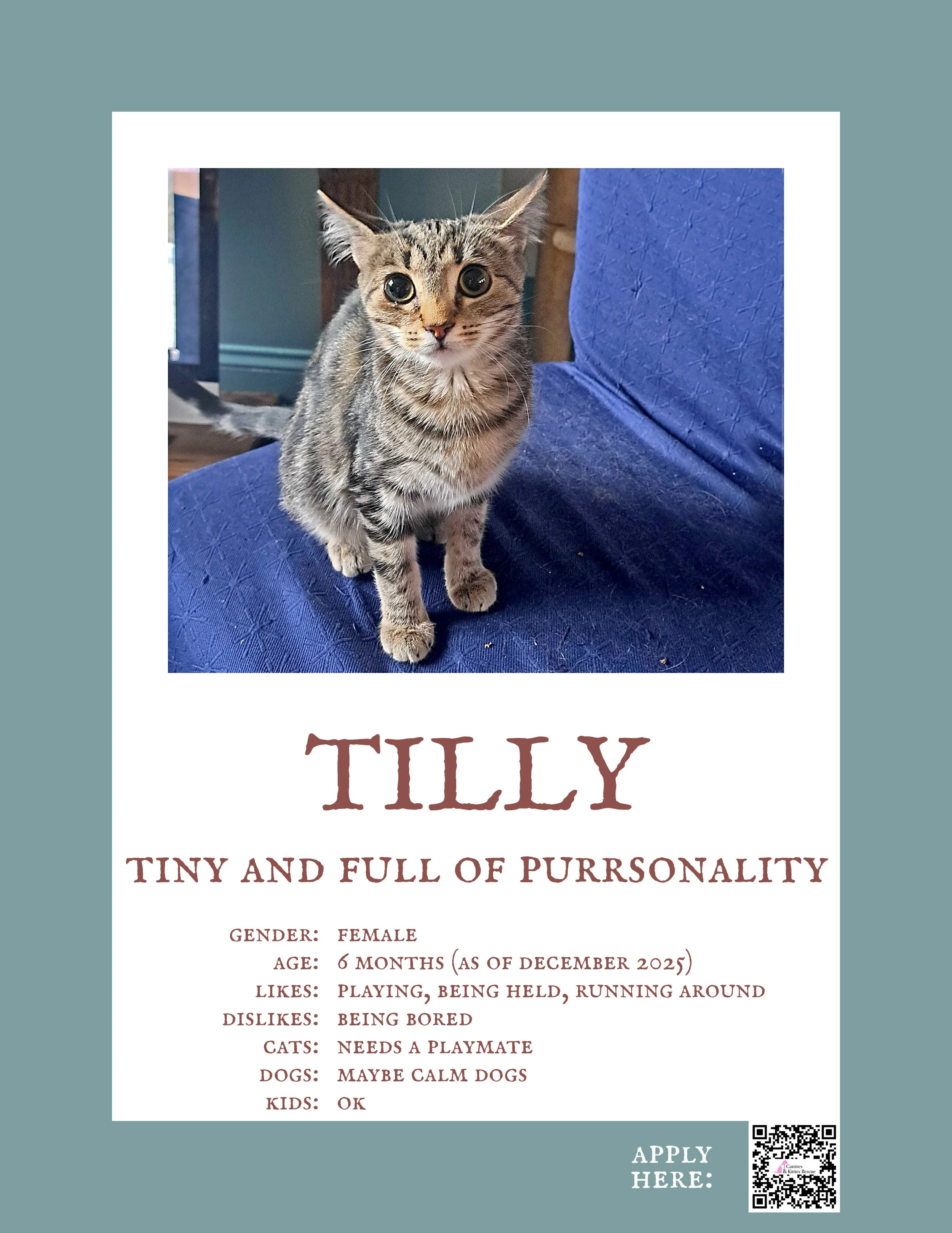 Tilly 3.jpg