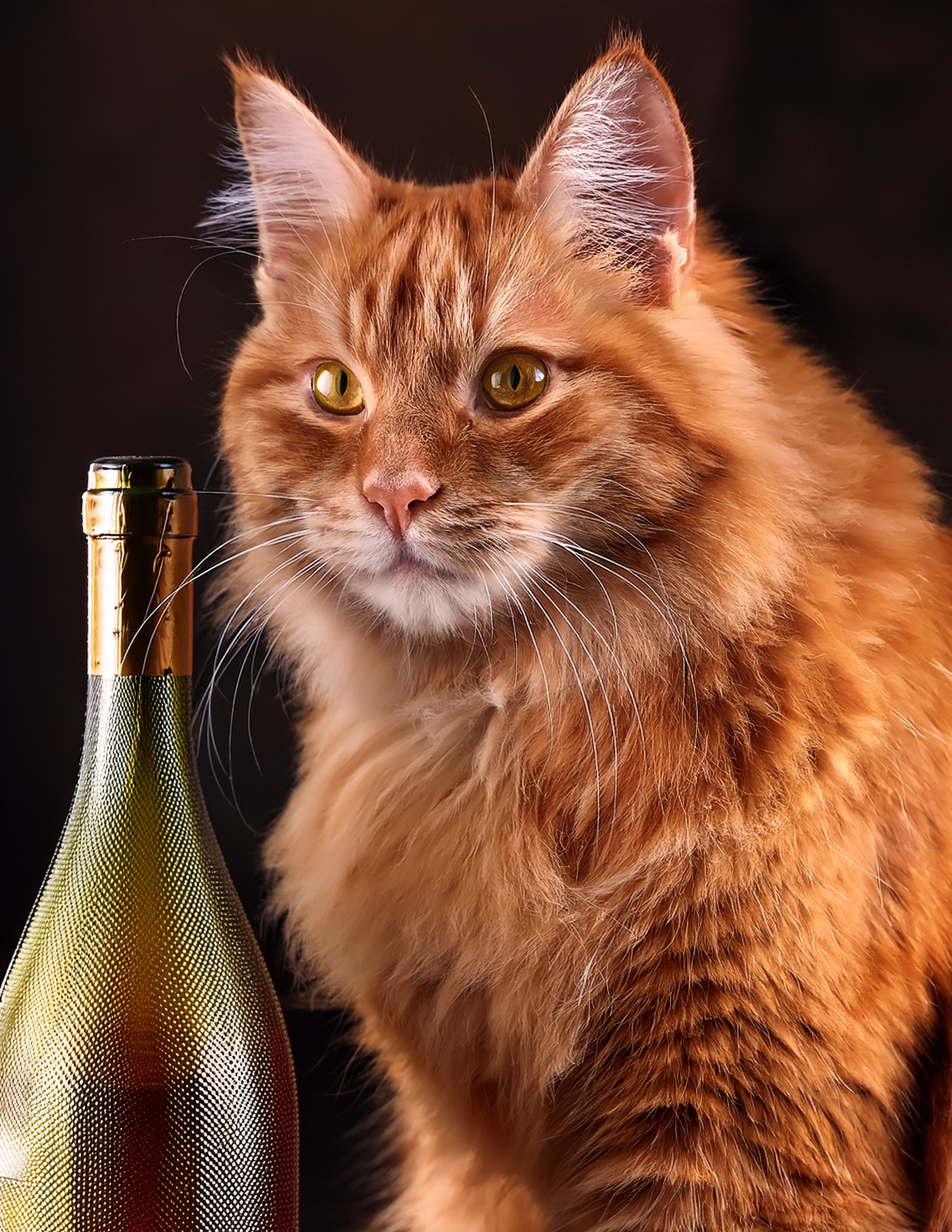 Wine Tasting Wednesday