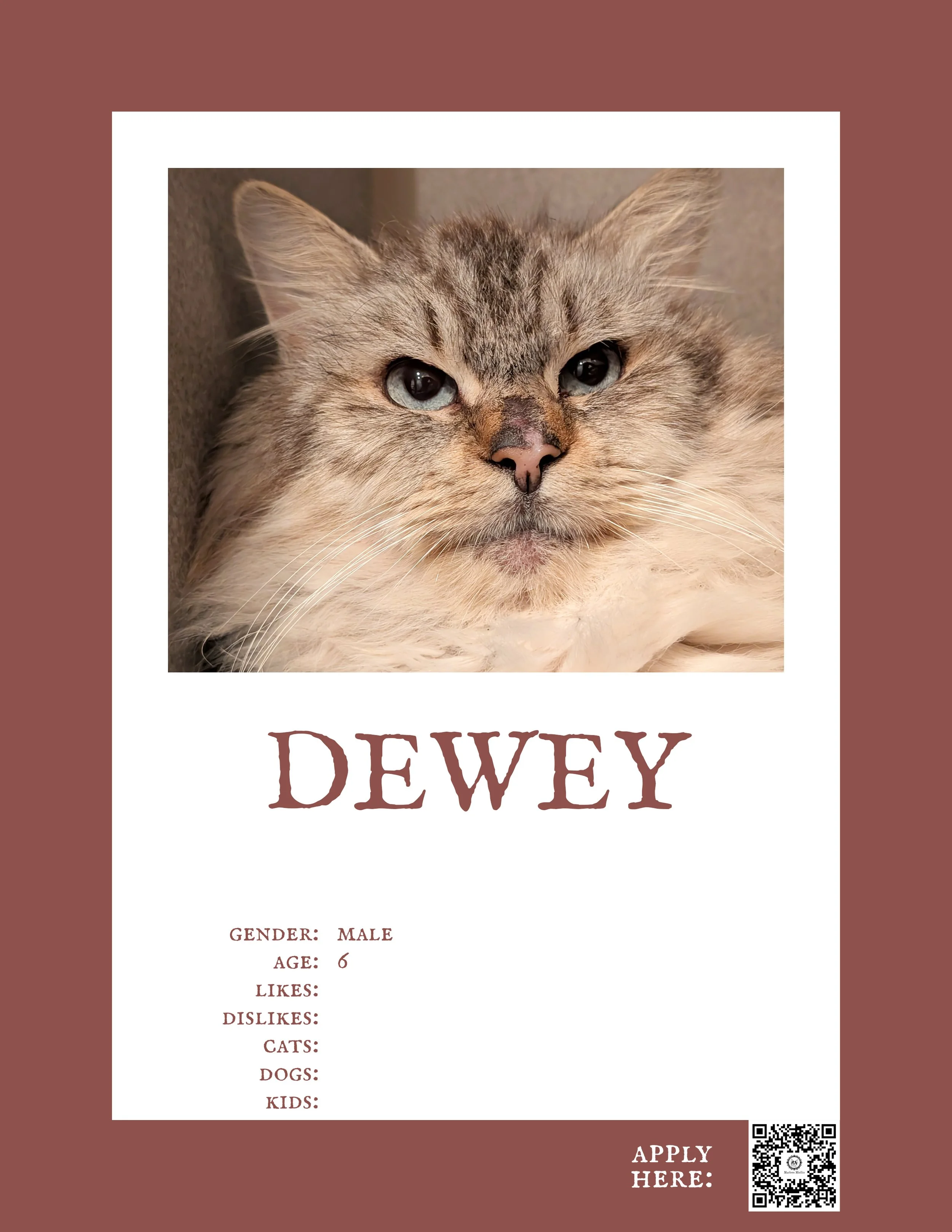 Dewey 2.jpg