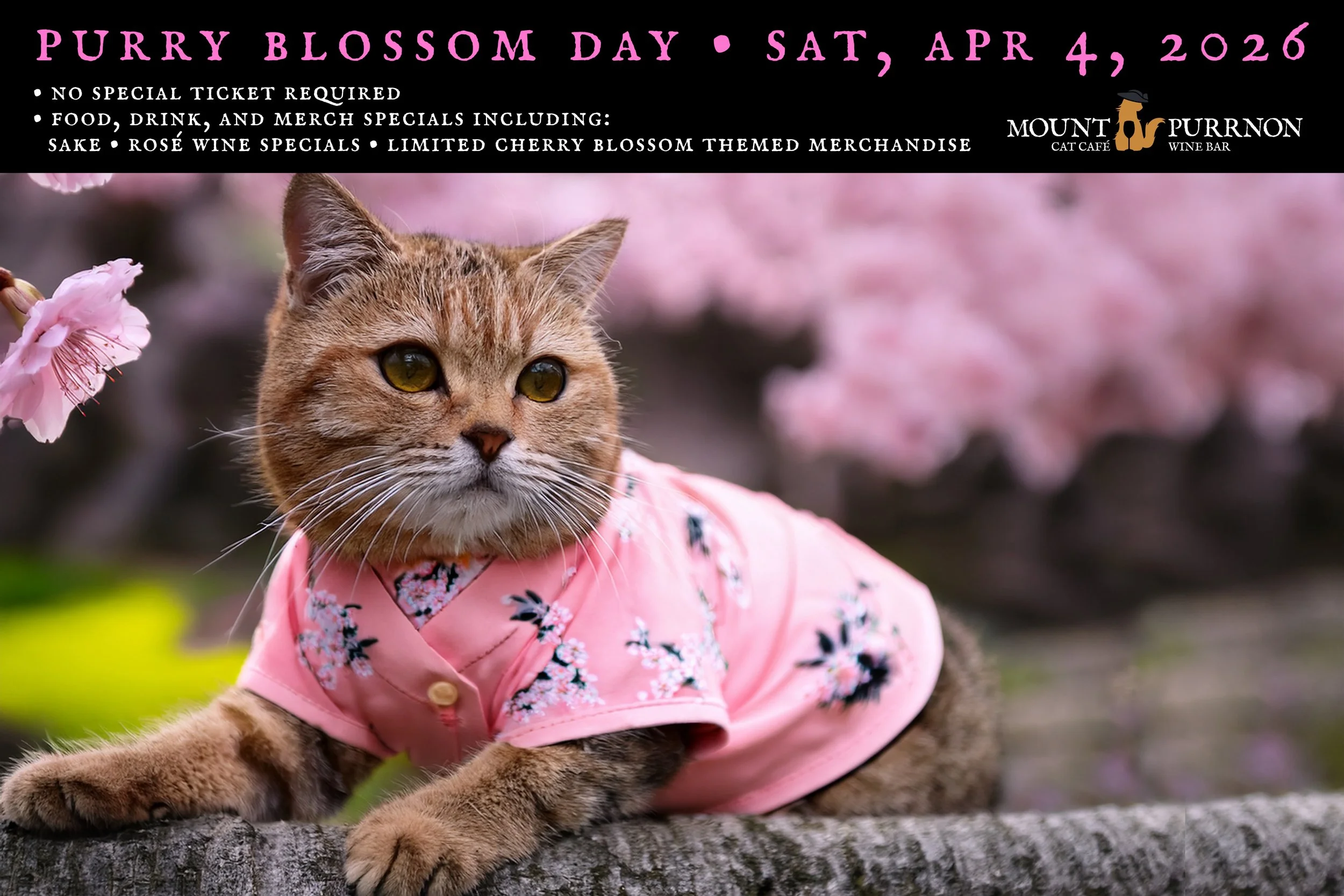 Purry Blossom Day