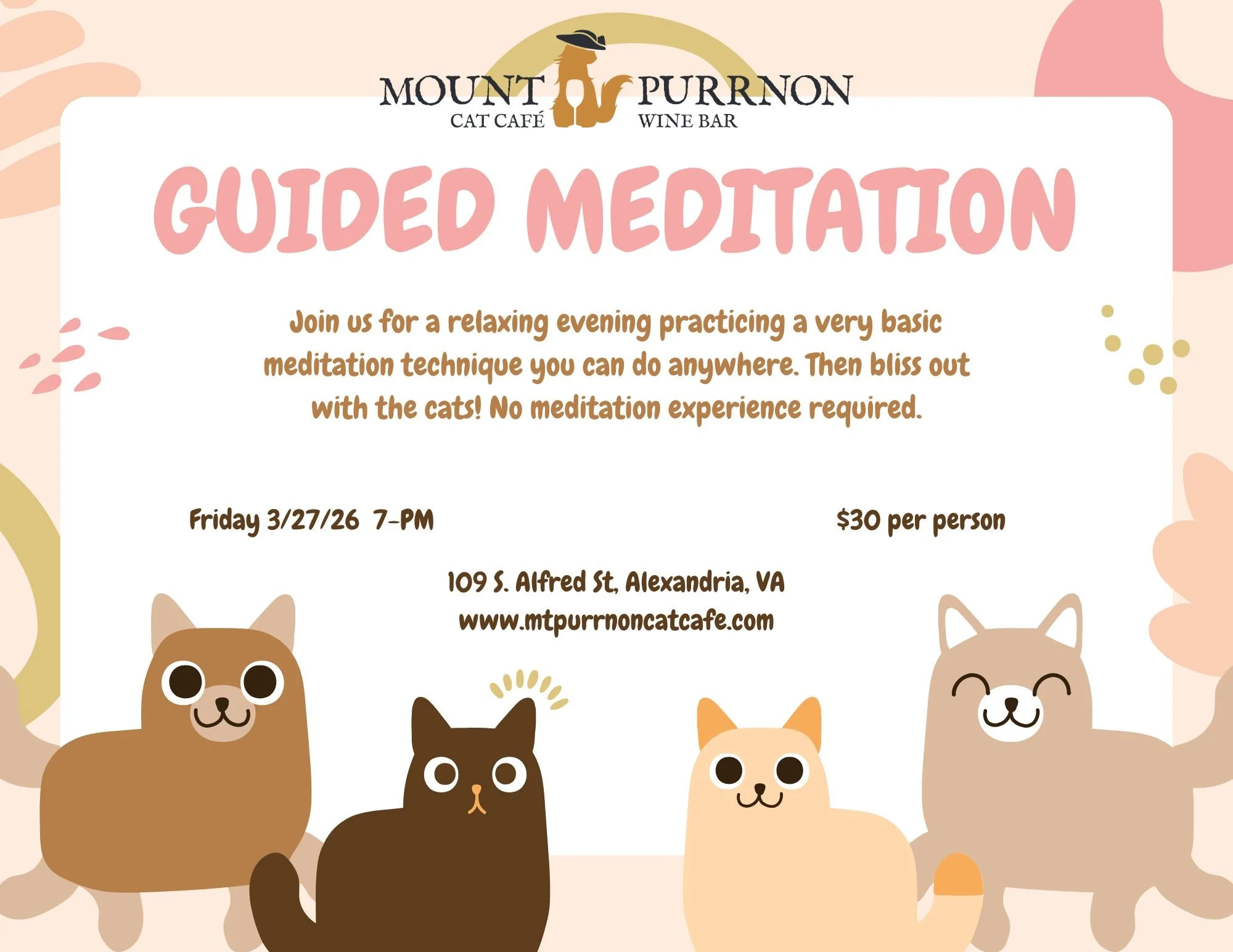 Guided Meditation with Cats