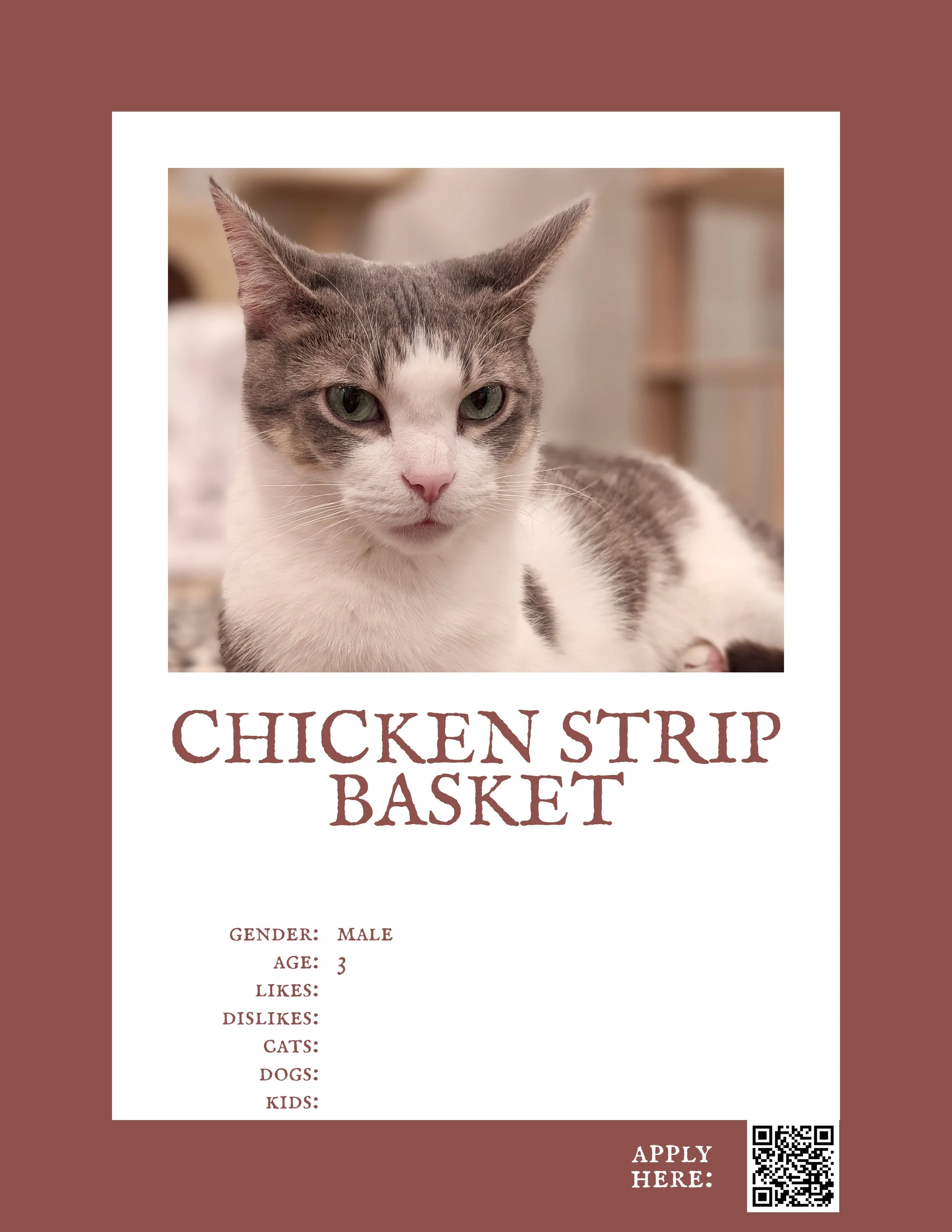 Chicken Strip Basket.jpg