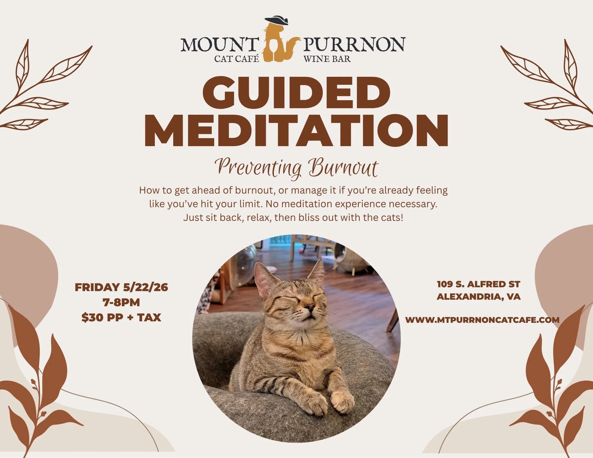 Guided Meditation with Cats