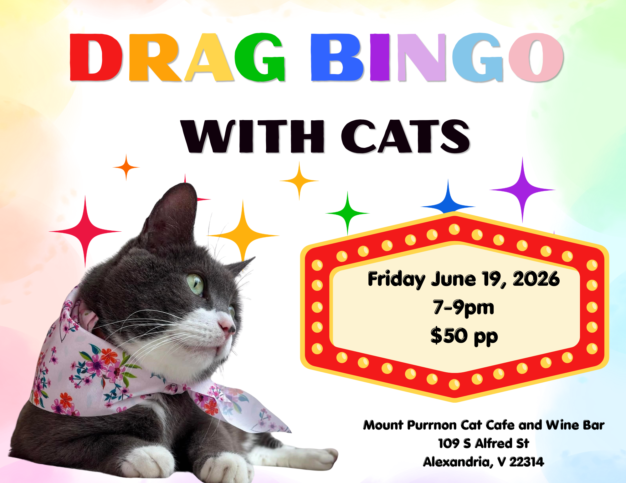 Drag Bingo with Cats