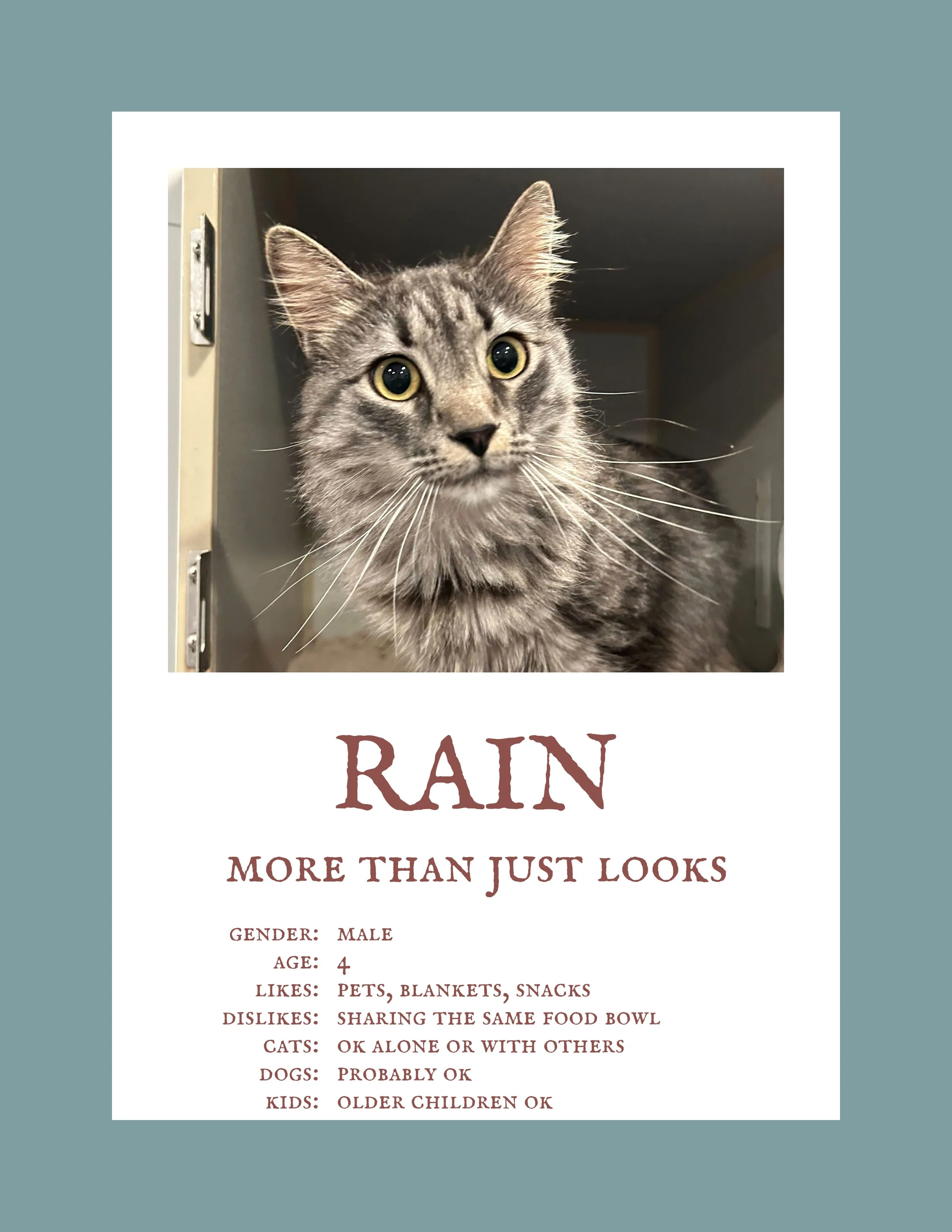 Rain.jpg