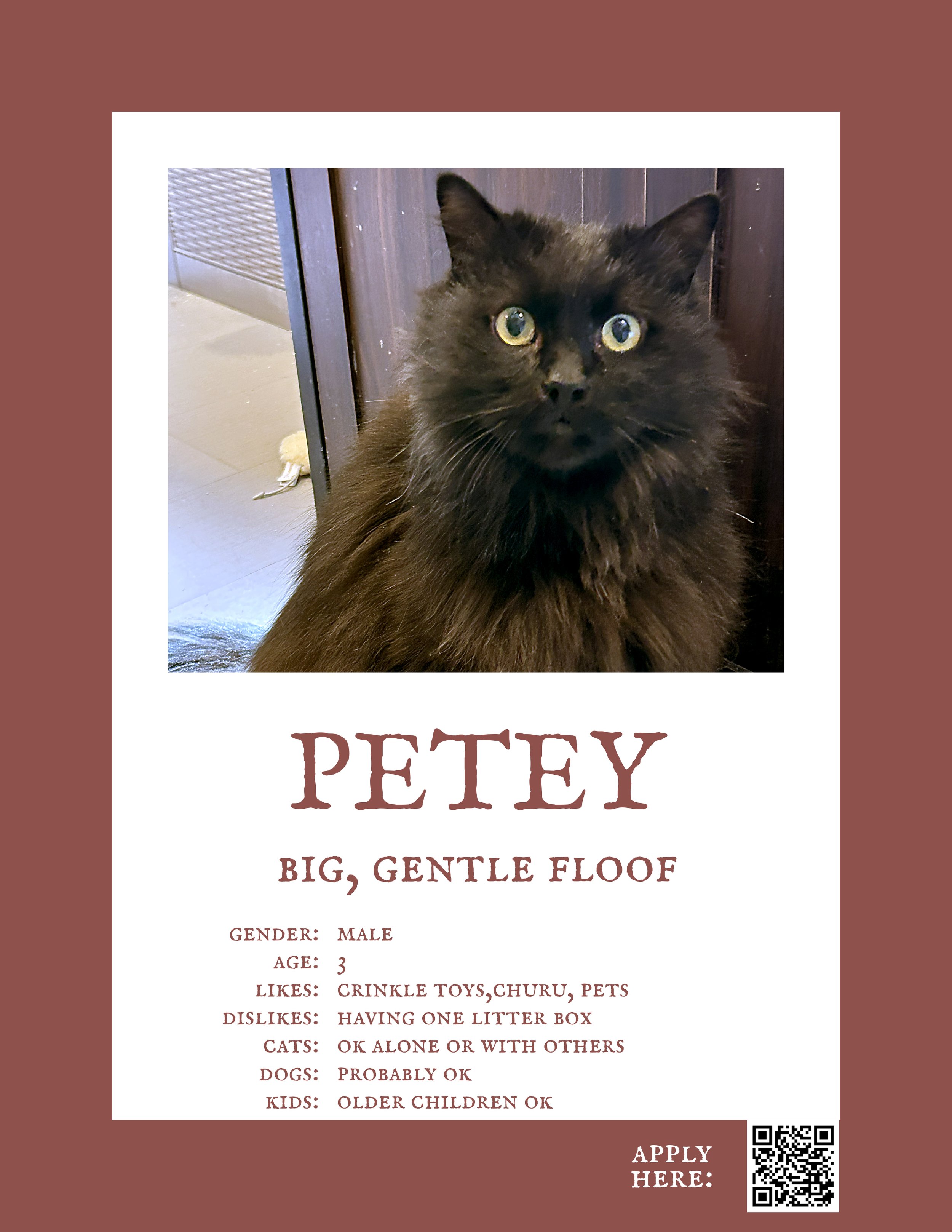 Petey.jpg