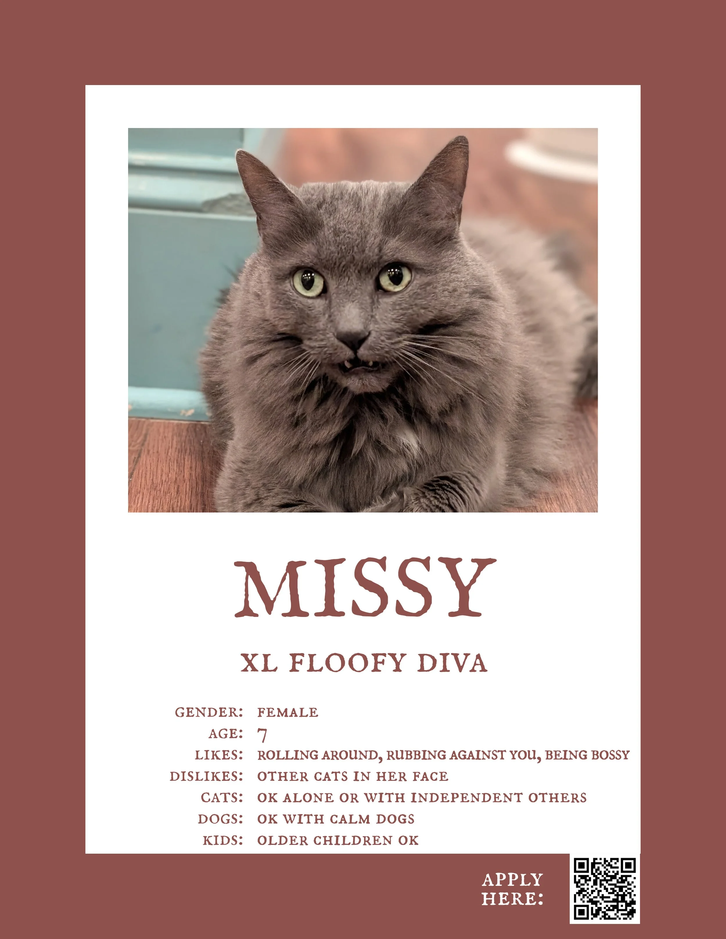 Missy 2.jpg
