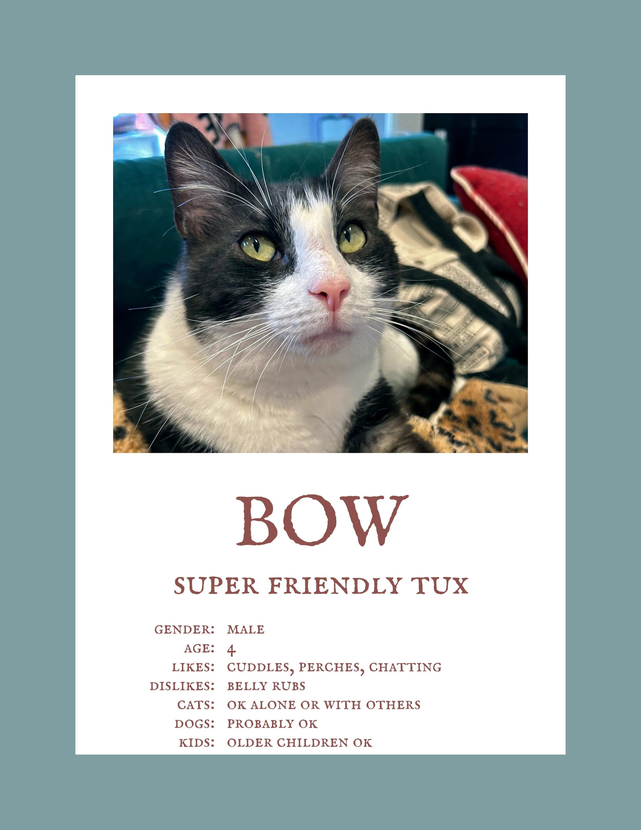 Bow.jpg