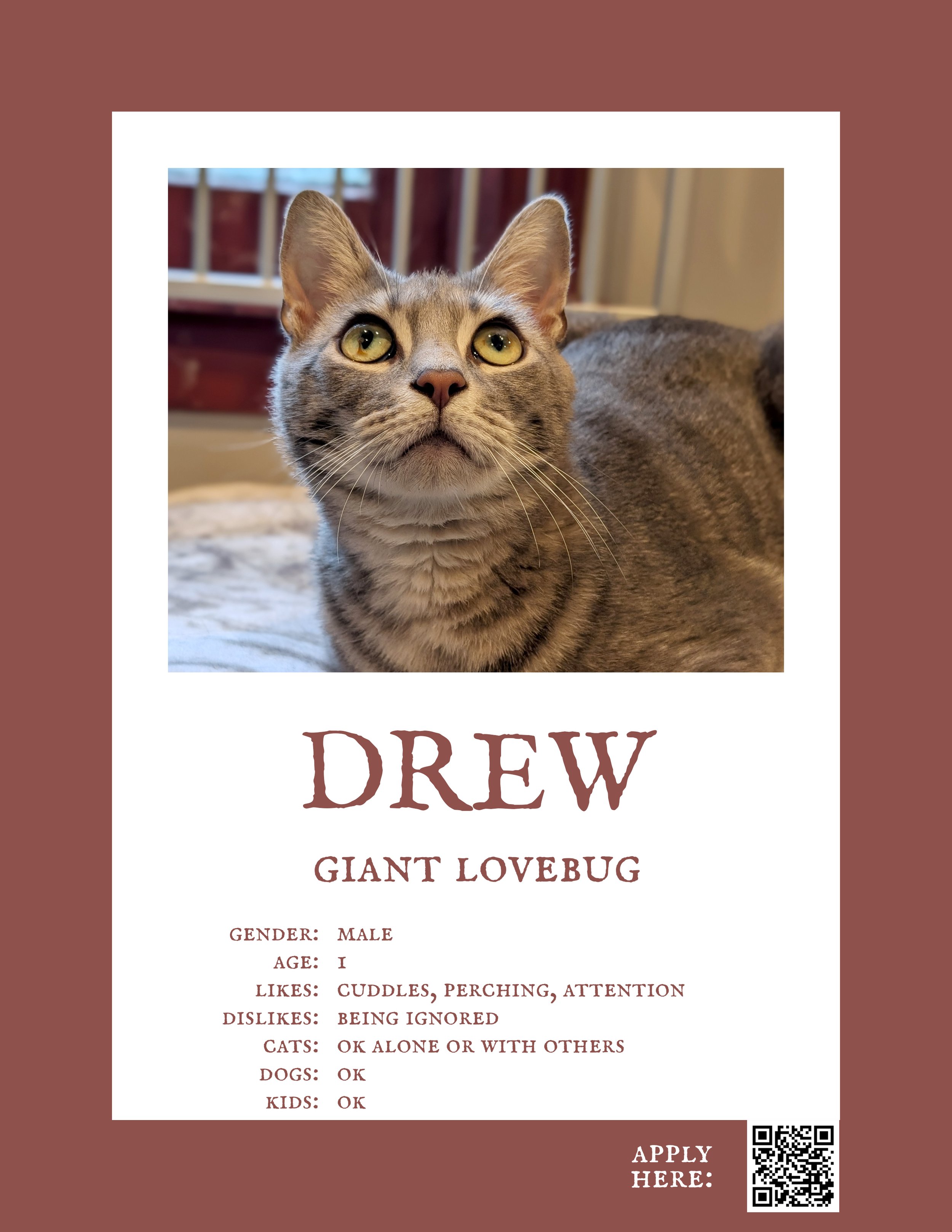 Drew.jpg