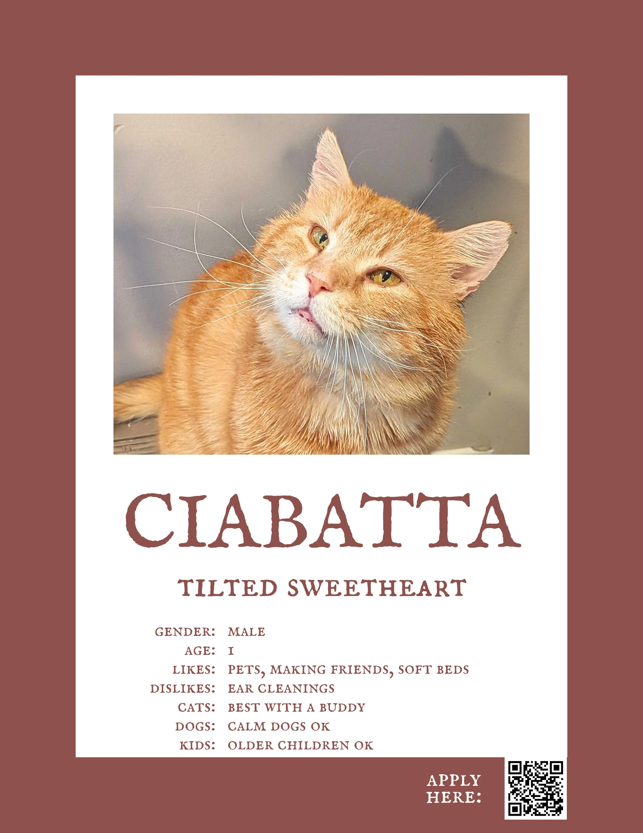 Ciabatta.jpg