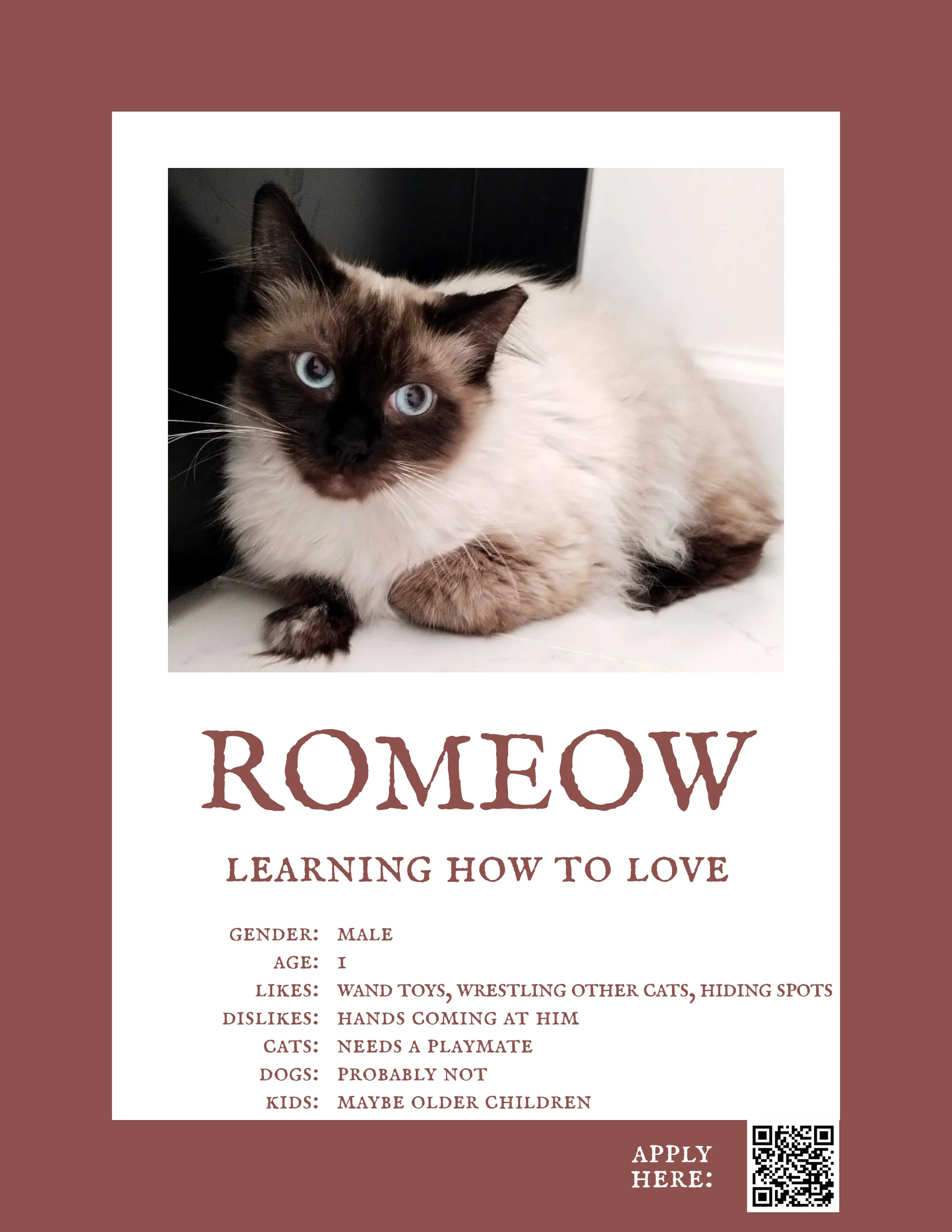 Romeow.jpg