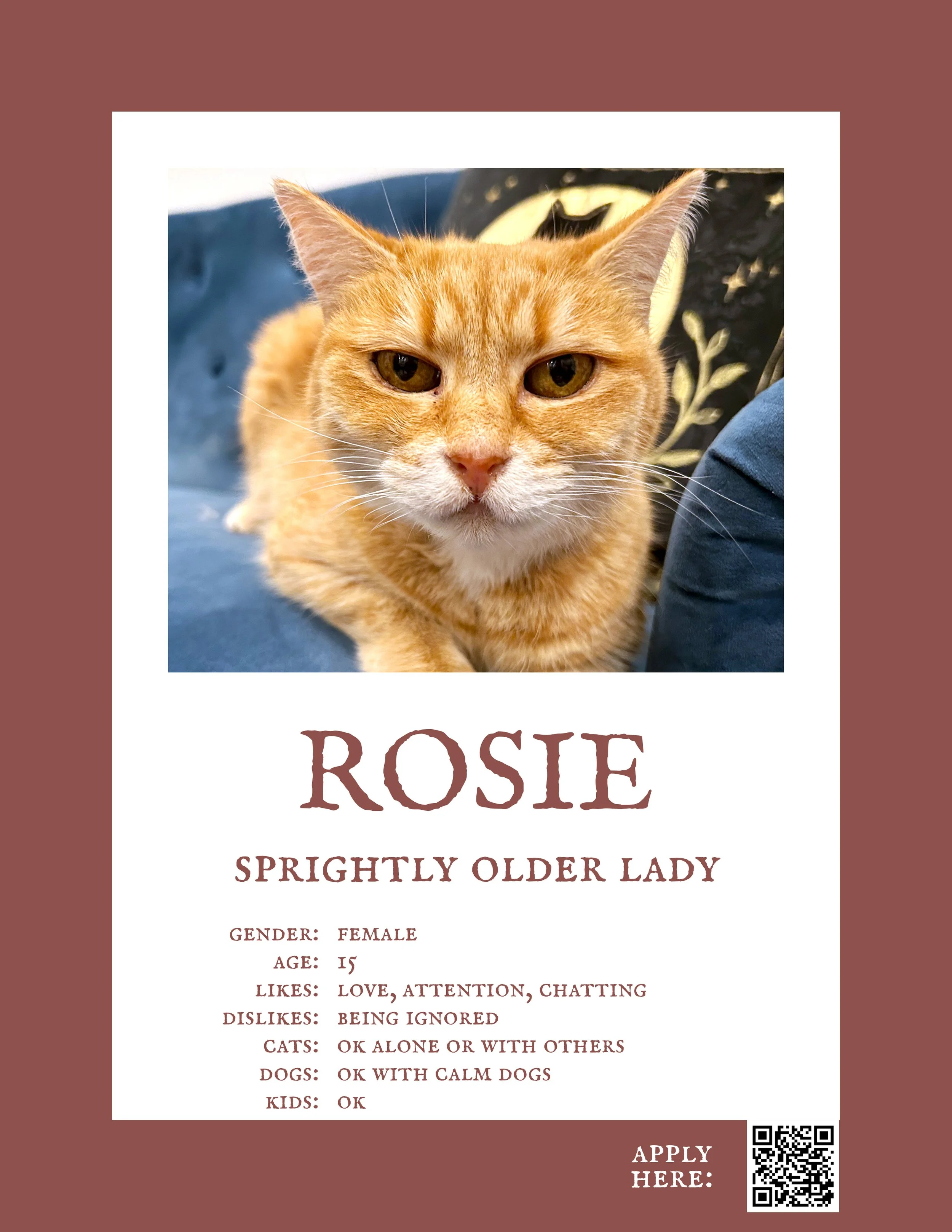 Rosie 3.jpg