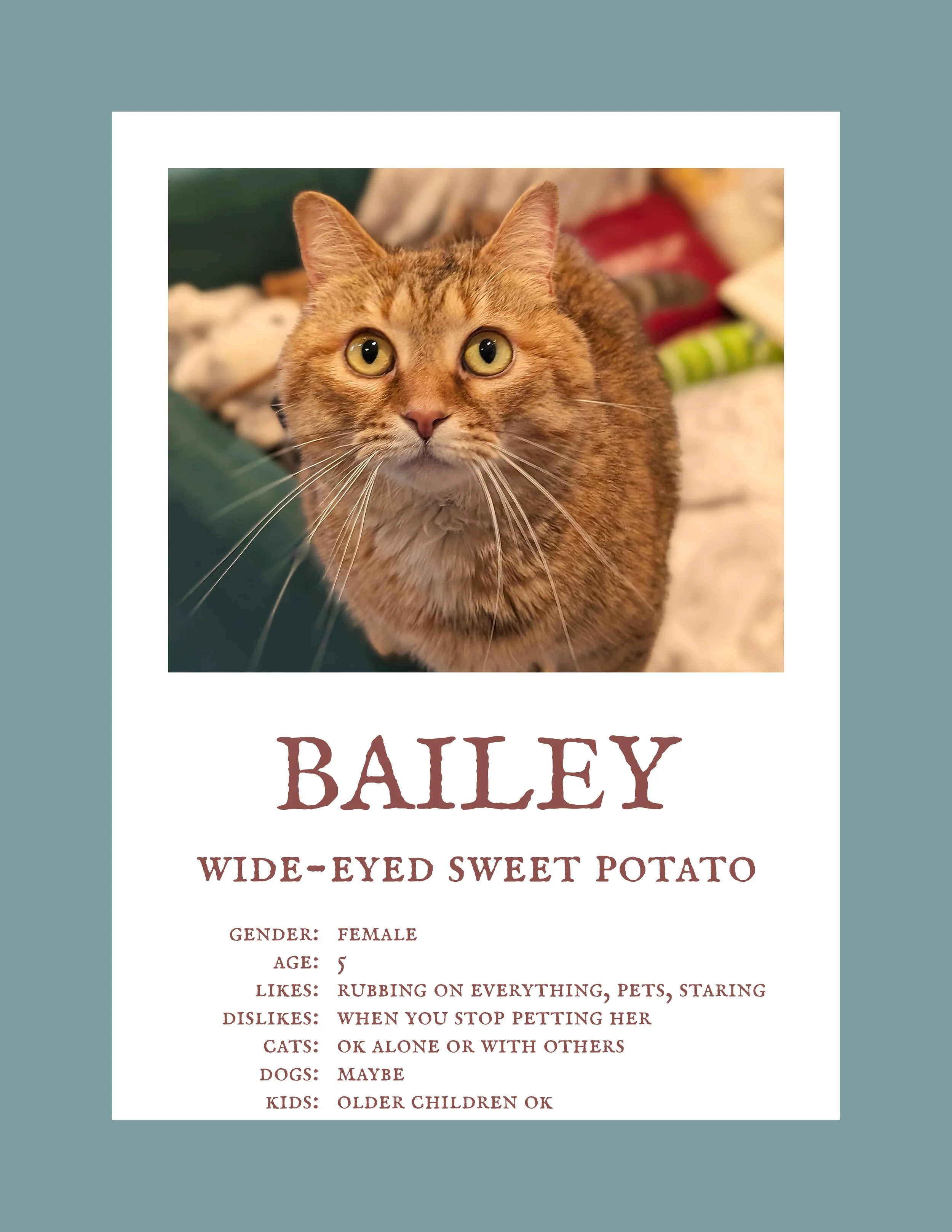 Bailey.jpg