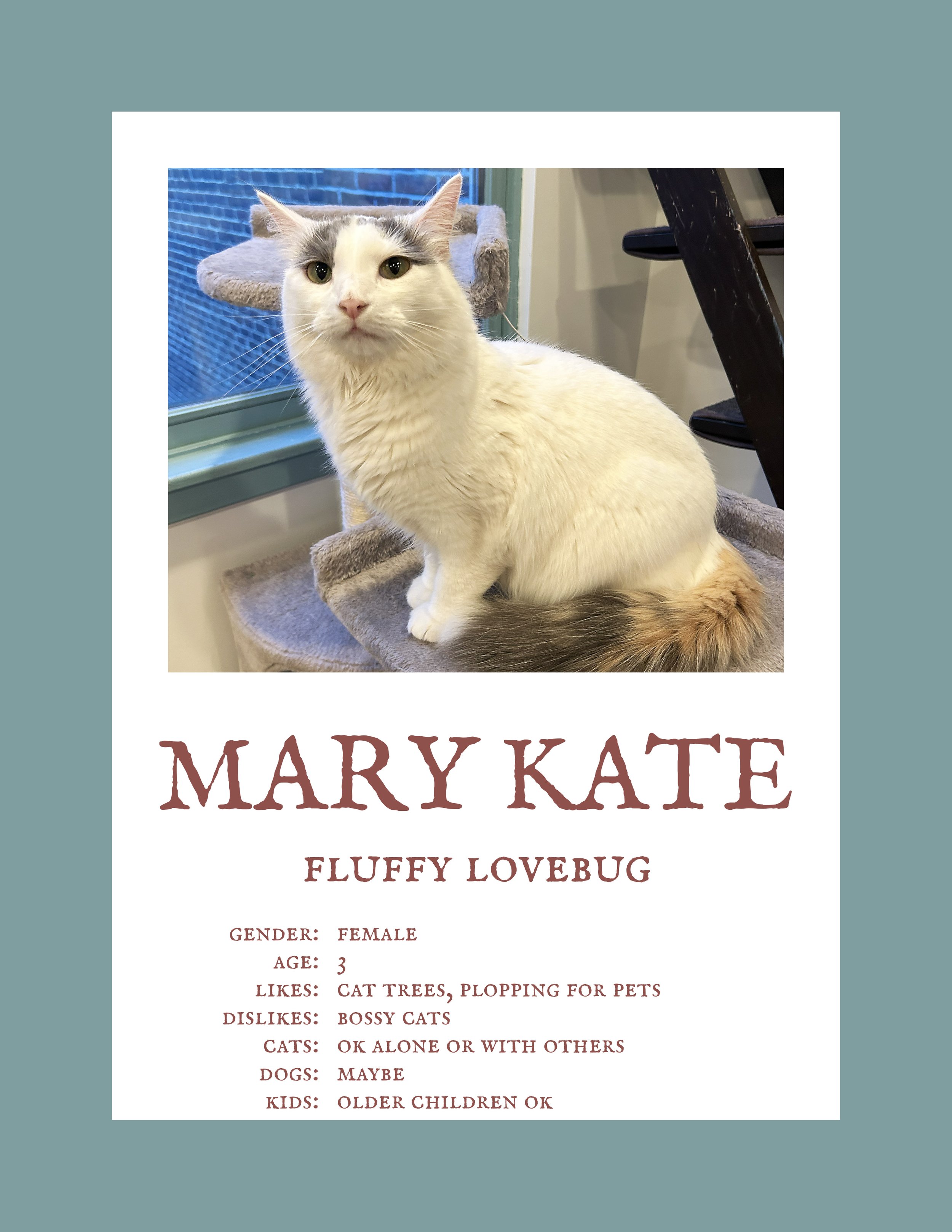 Mary Kate.jpg