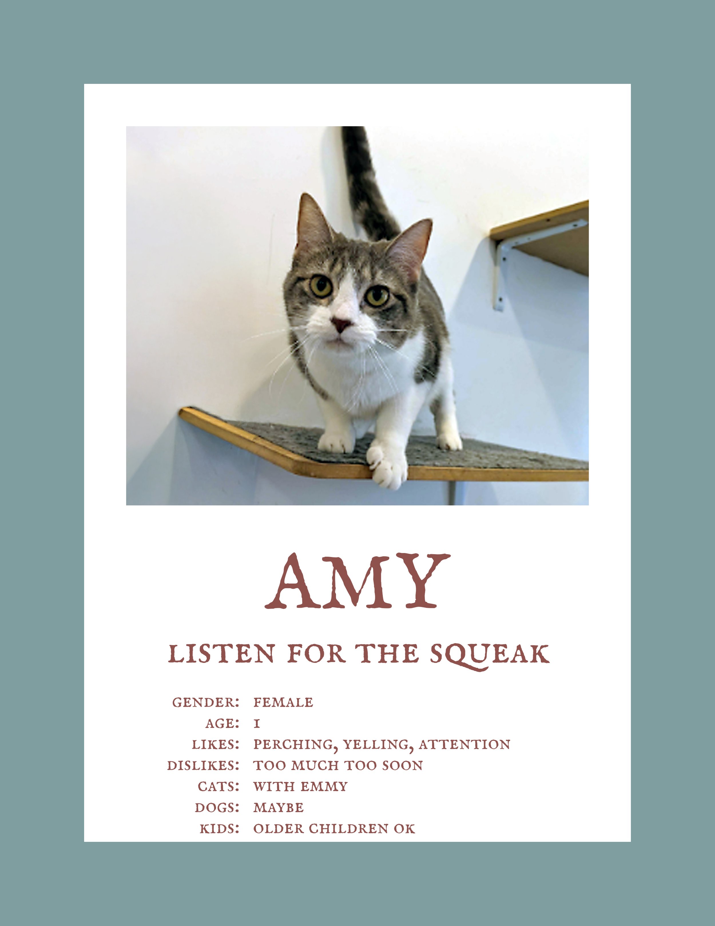 Amy.jpg