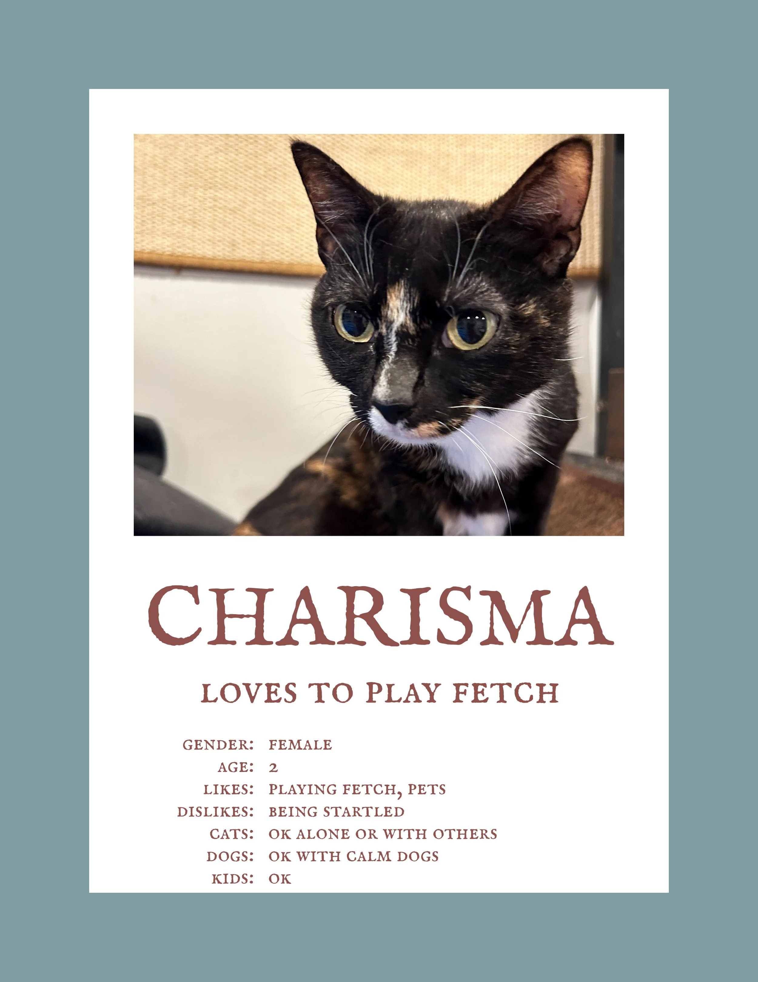Charisma.jpg
