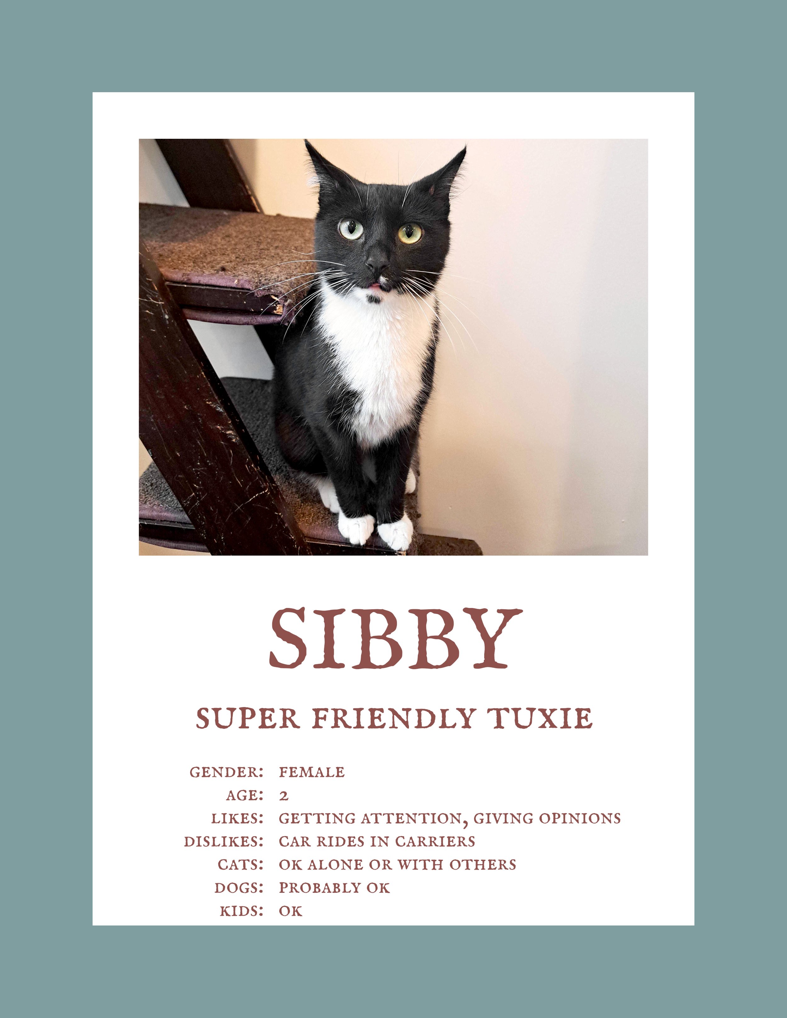 Sibby.jpg