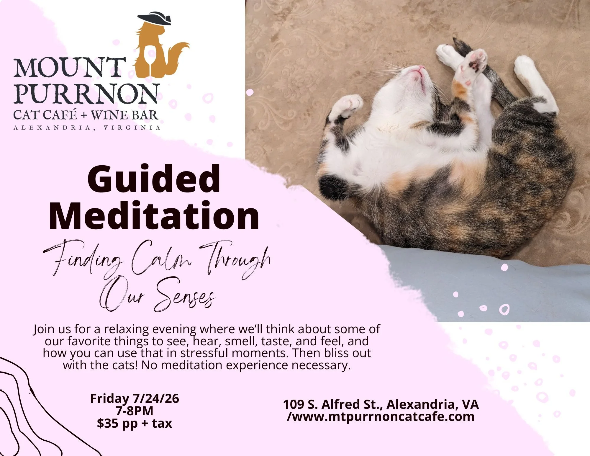 Guided Meditation with Cats