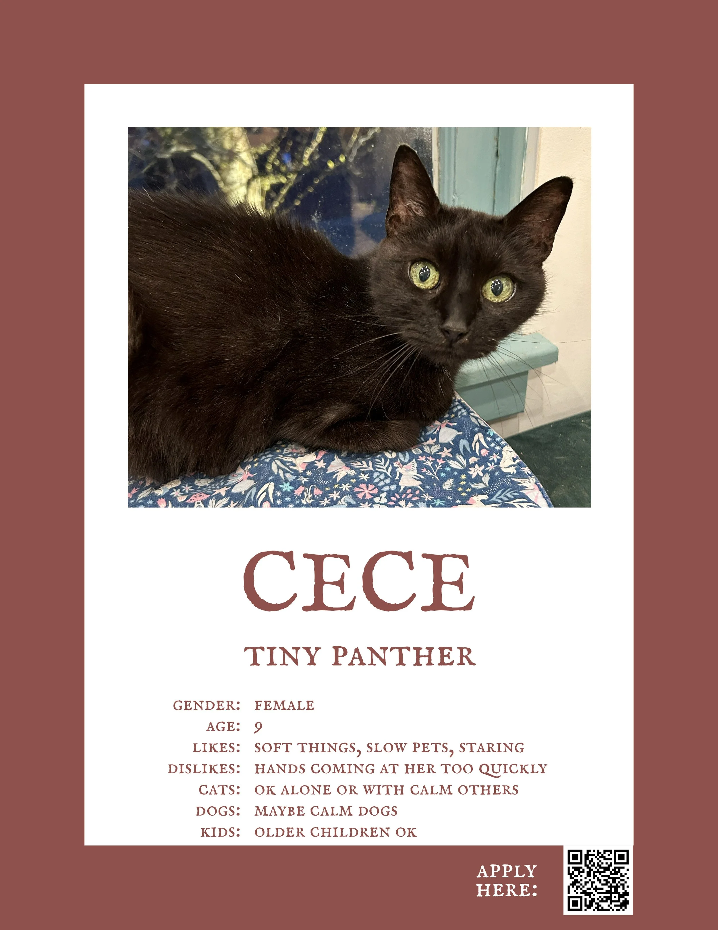 Cece.jpg