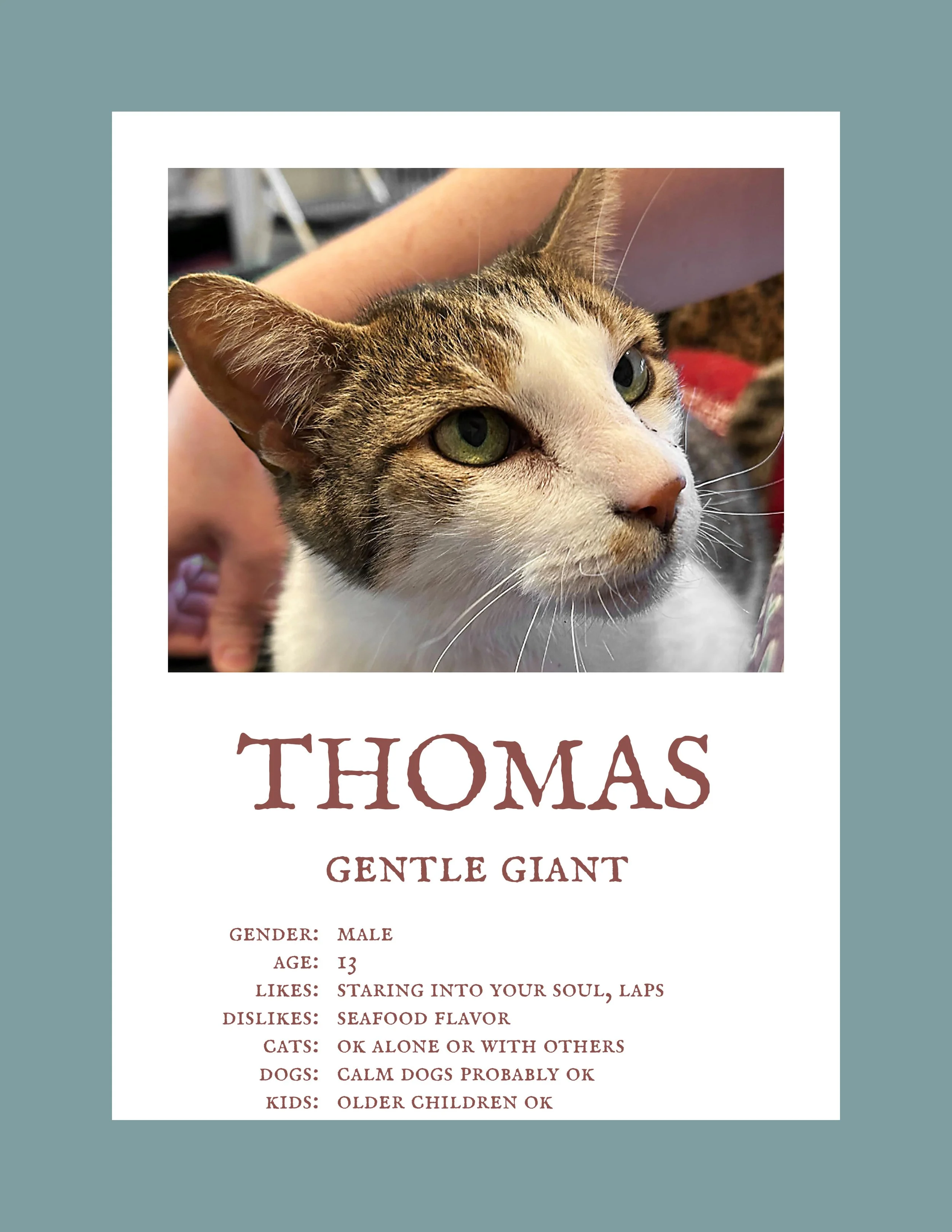 Thomas 3.jpg