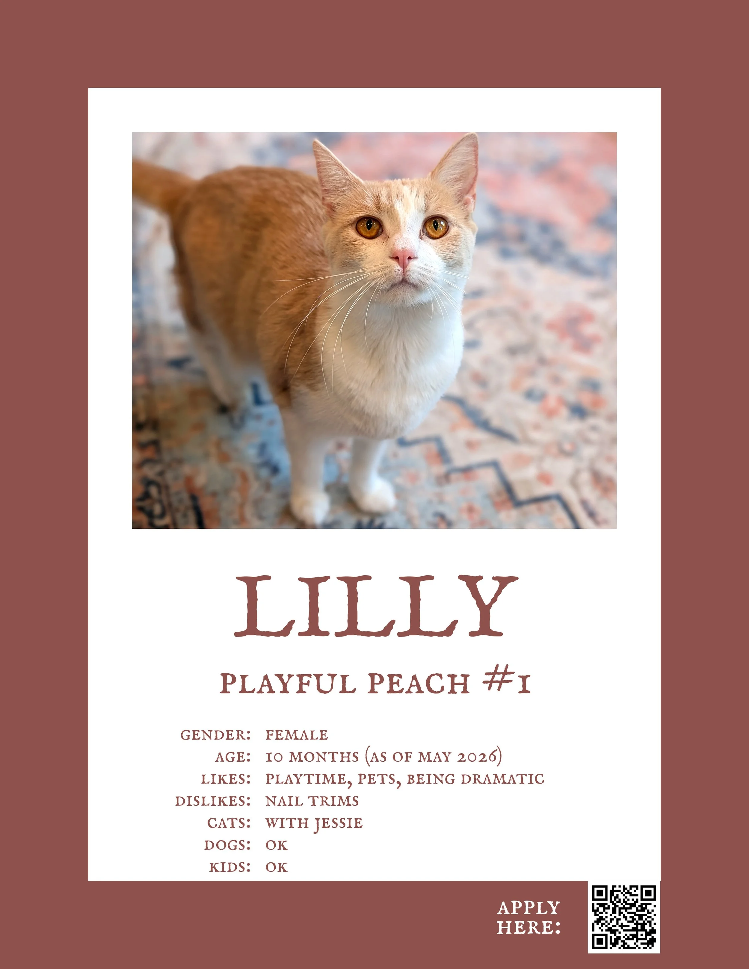 Lilly 2.jpg