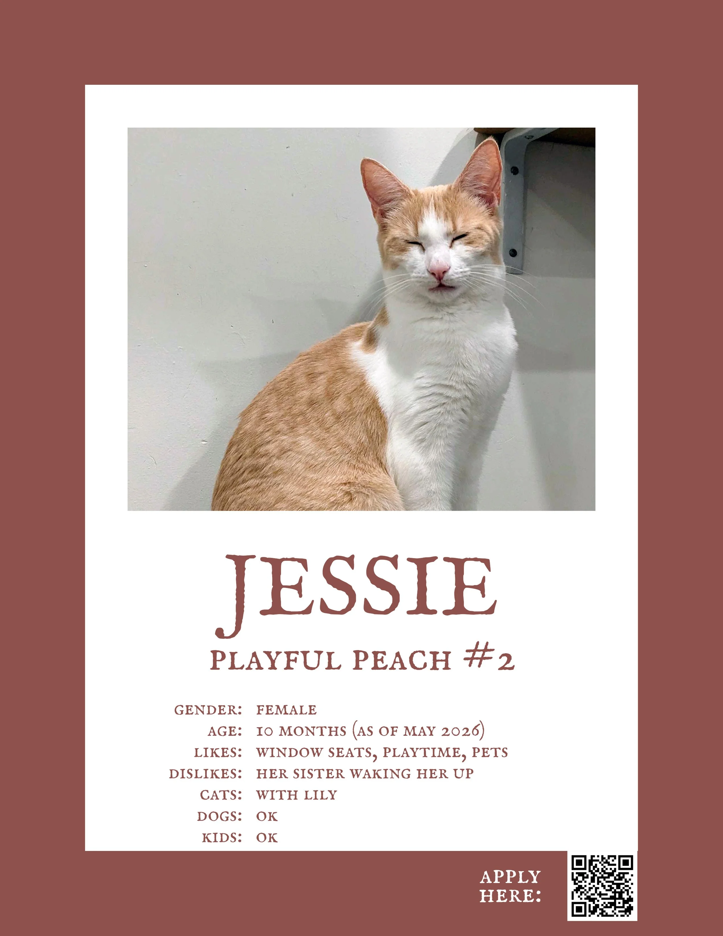 Jessie 2.jpg