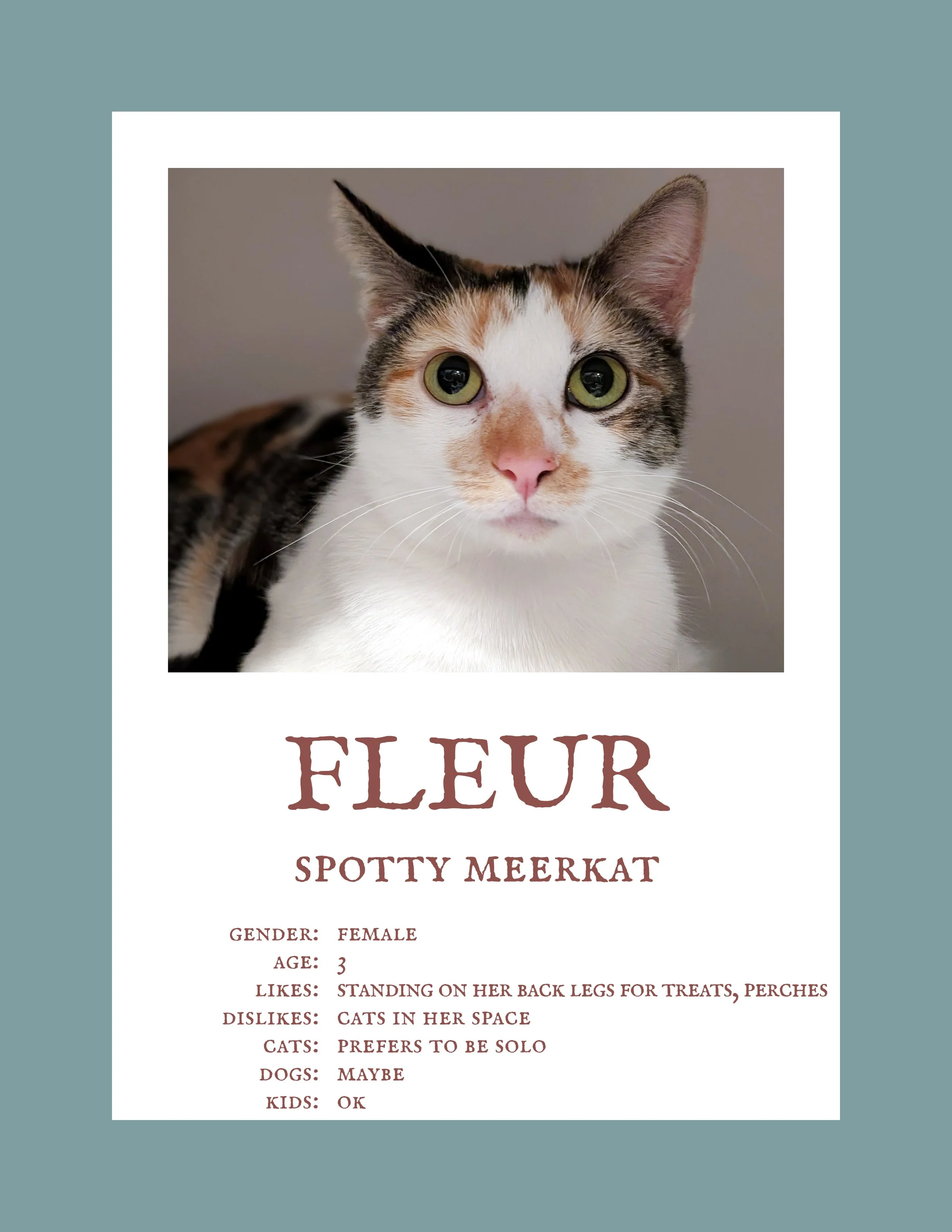 Fleur.jpg