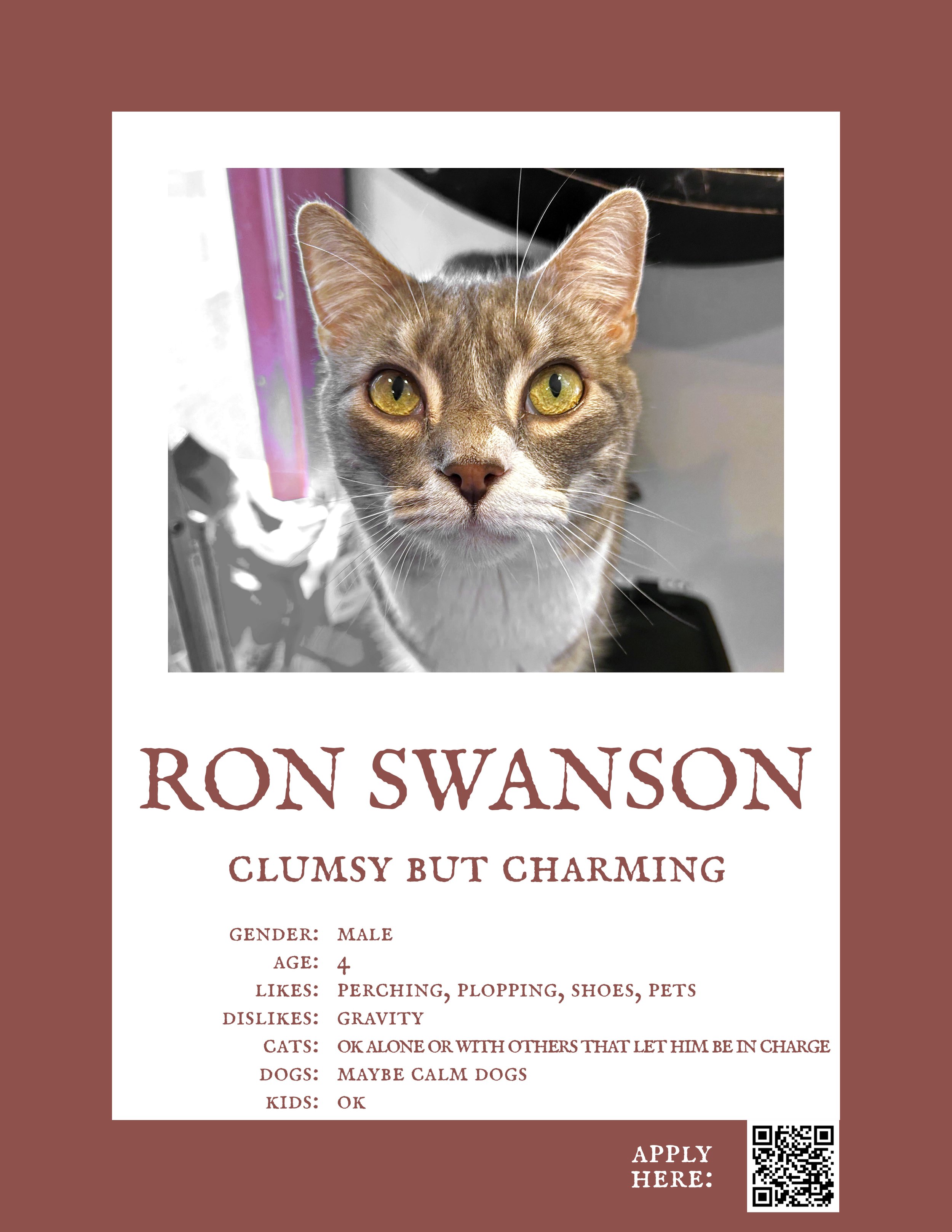 Ron Swanson.jpg