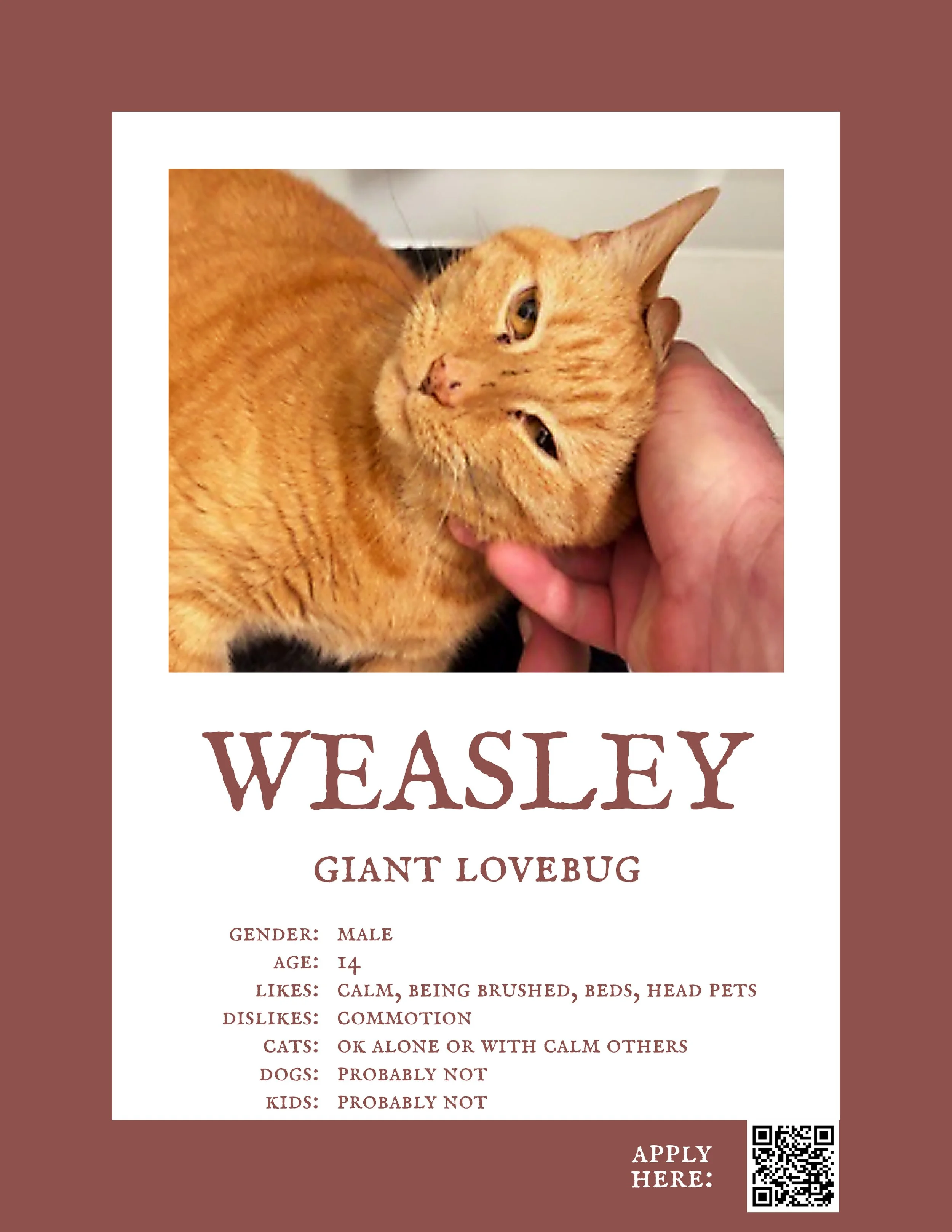 Weasley.jpg