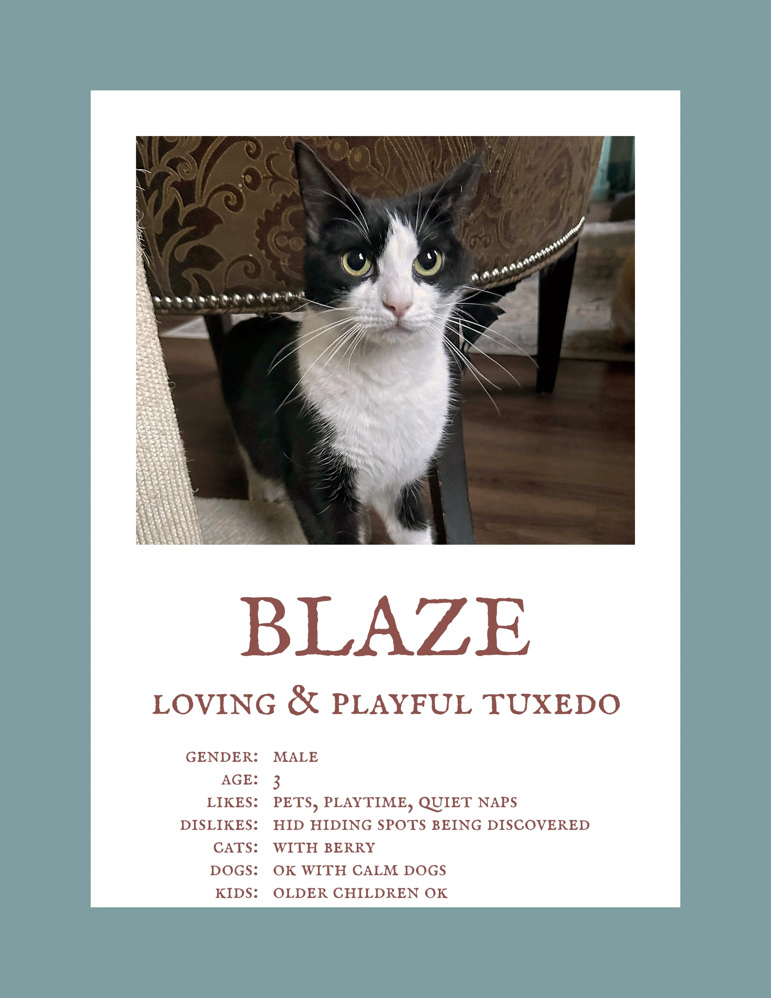Blaze.jpg