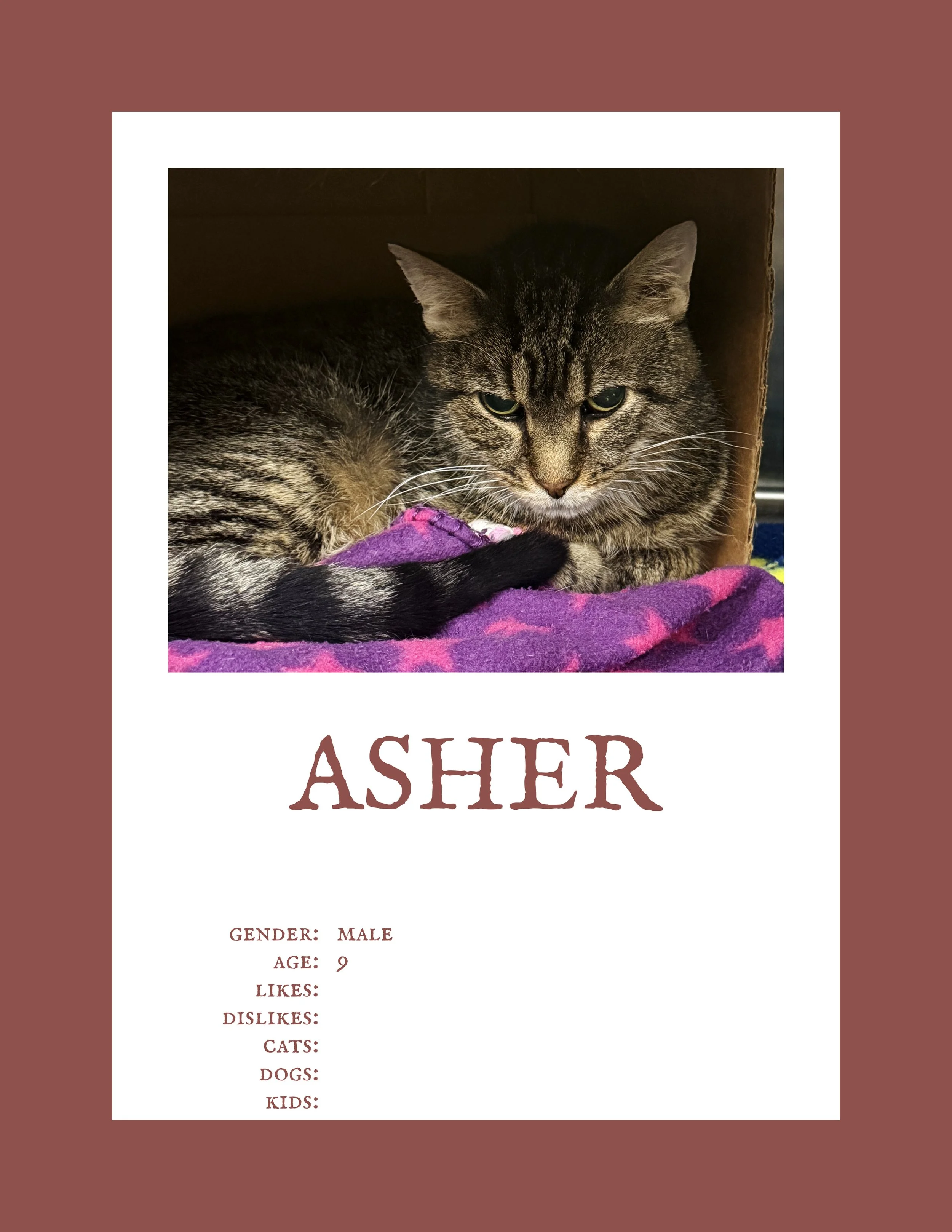 Asher.jpg
